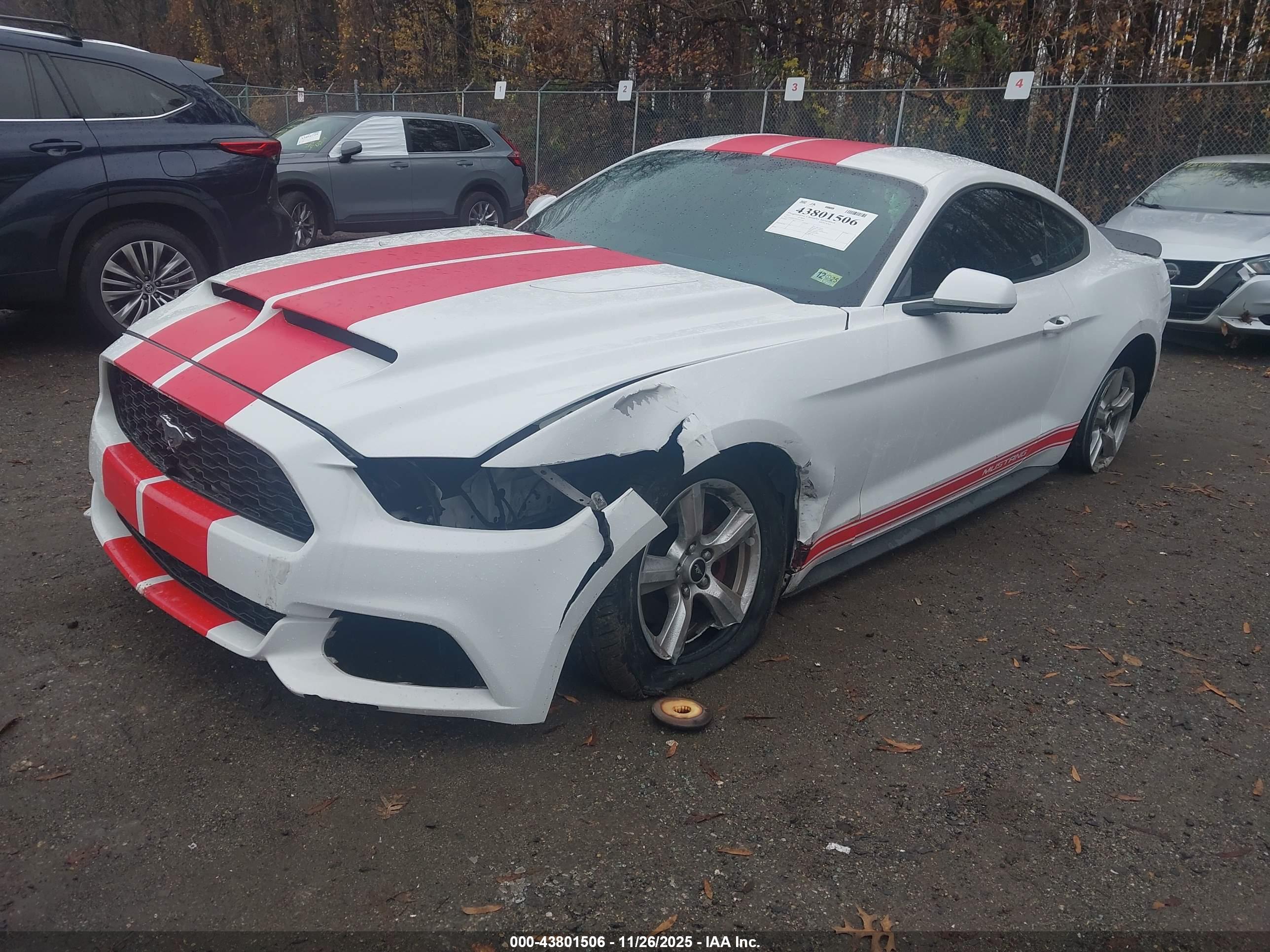 FORD MUSTANG image 2