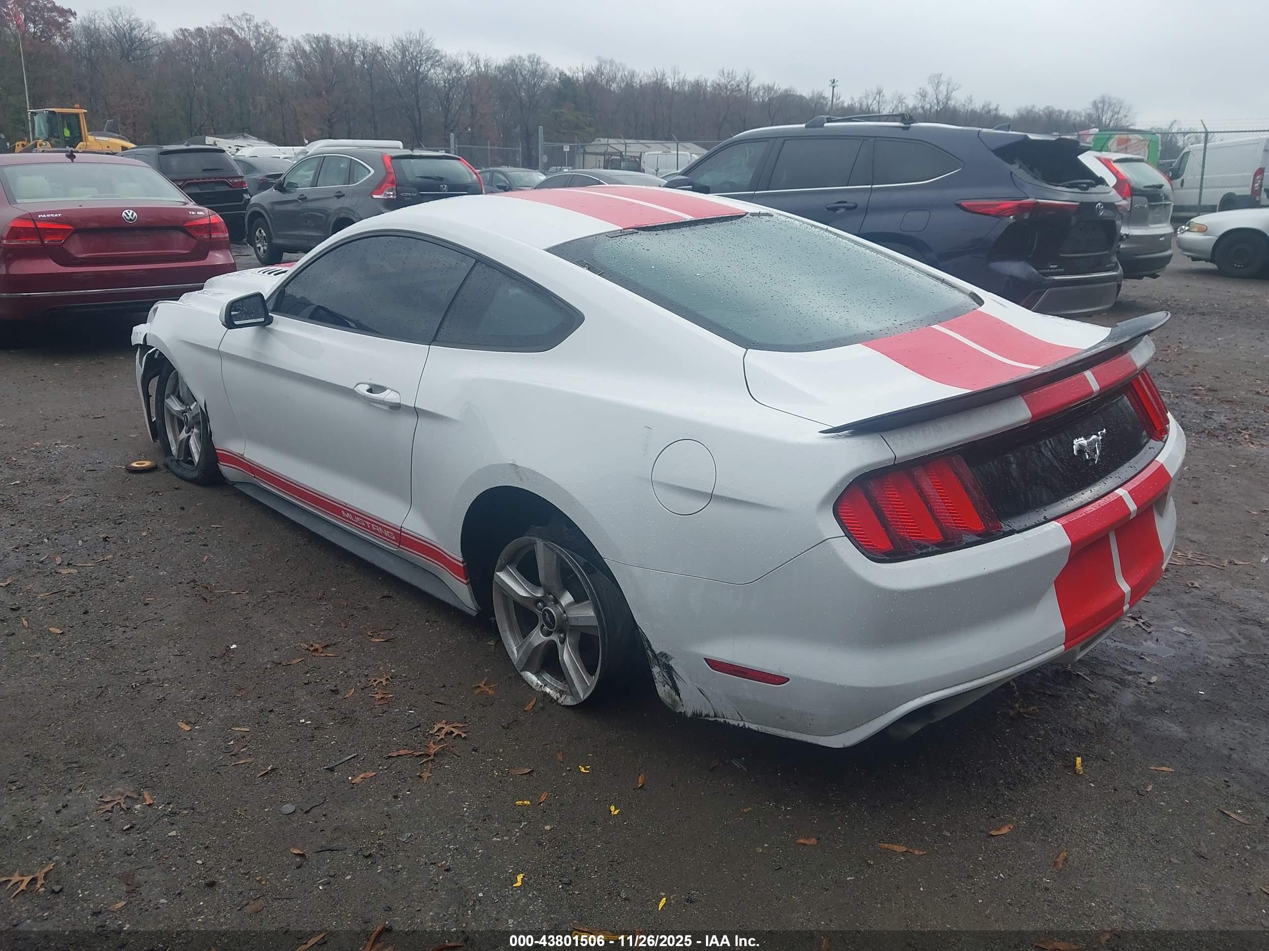FORD MUSTANG image 3