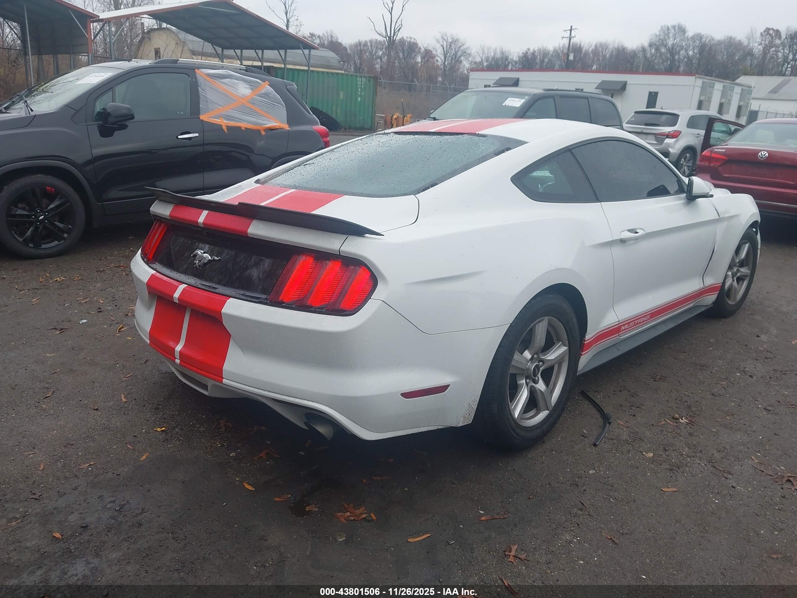 FORD MUSTANG image 4