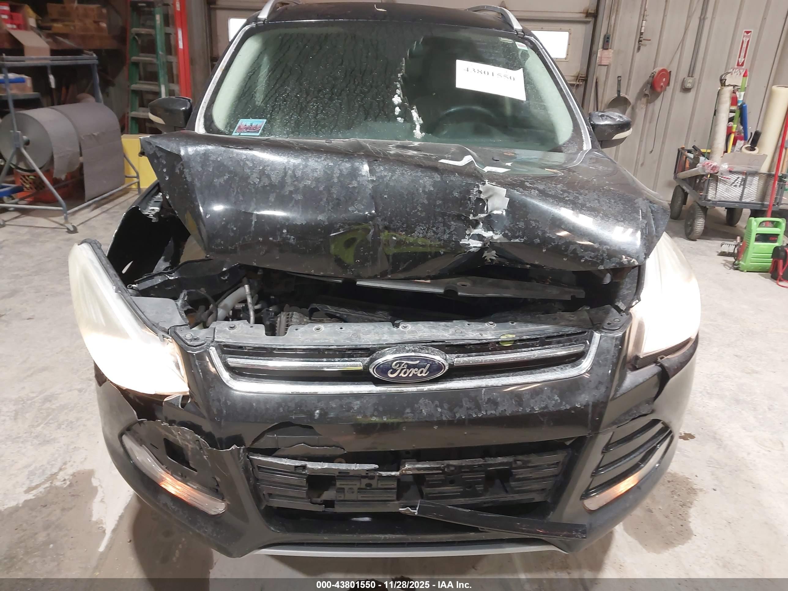 FORD ESCAPE image 6