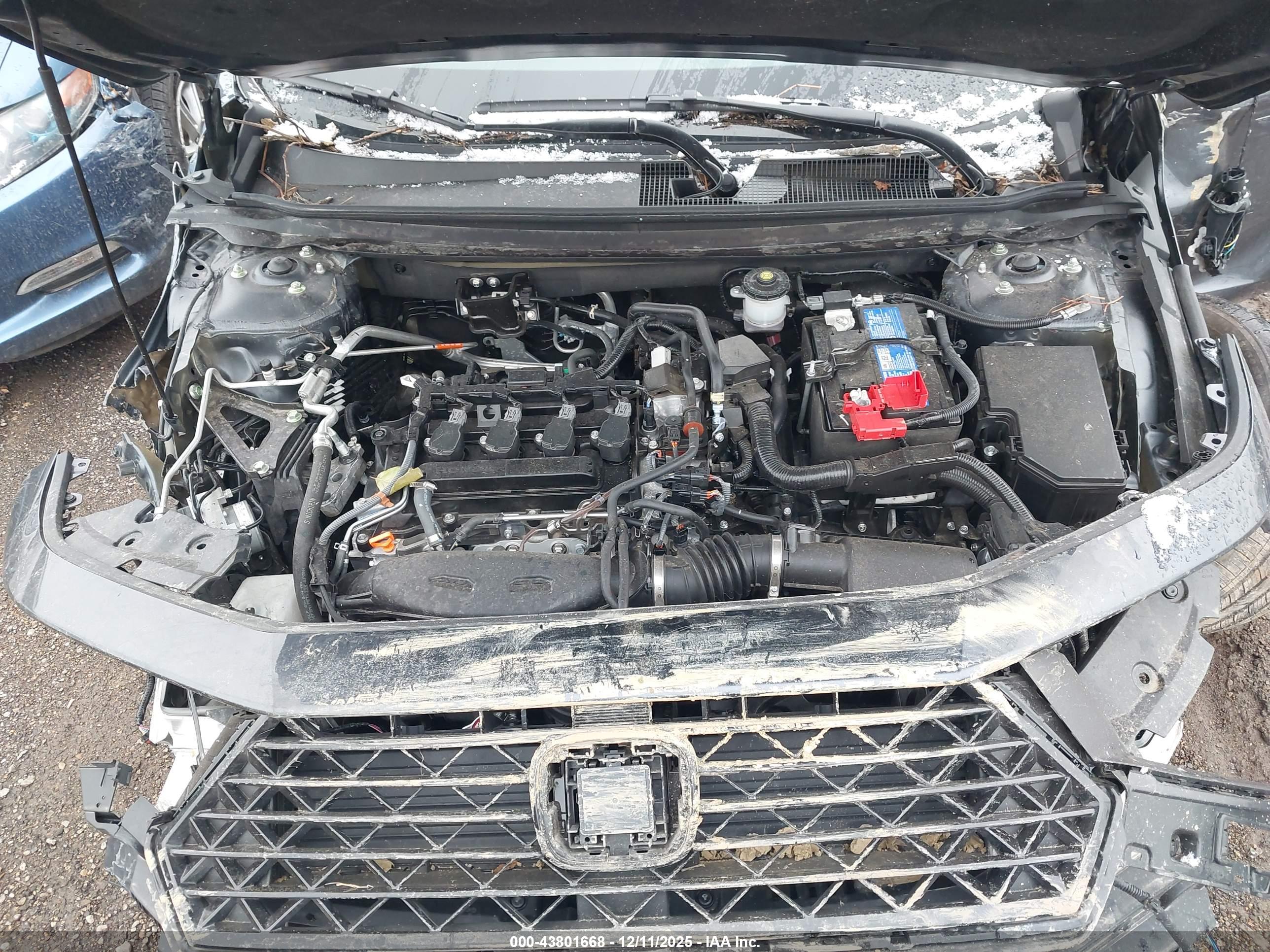 HONDA ACCORD image 10