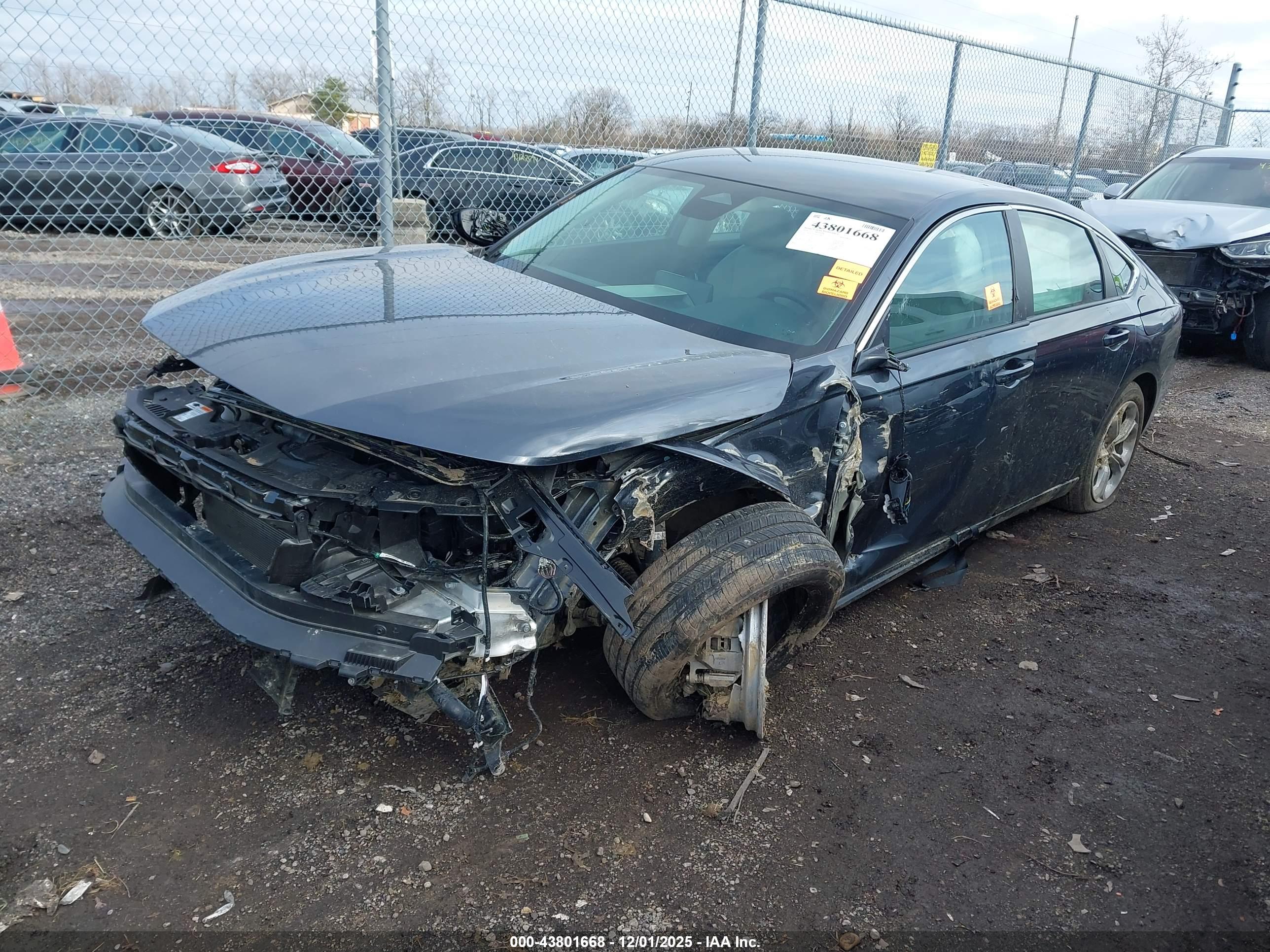 HONDA ACCORD image 2