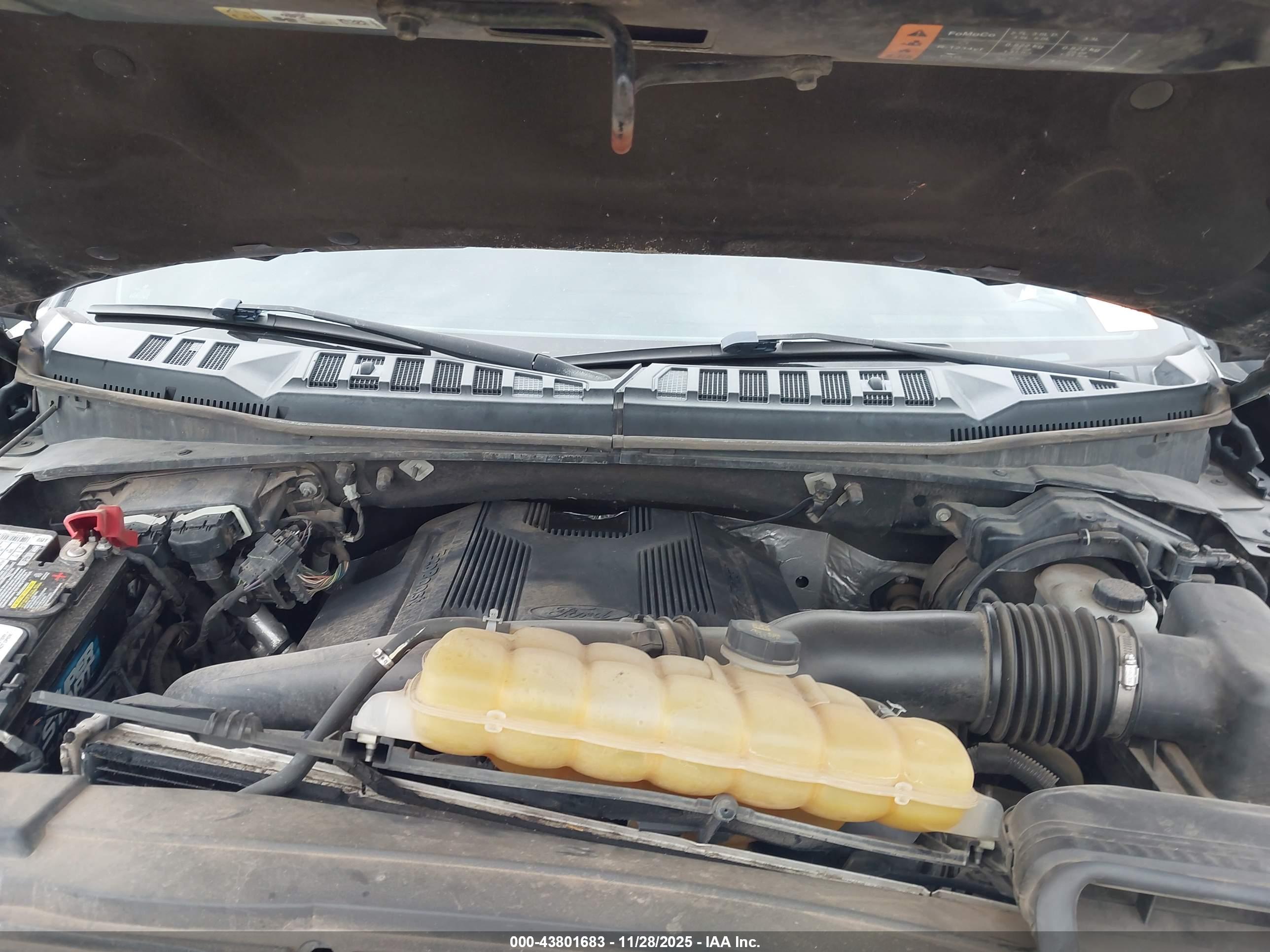 FORD F-150 image 10