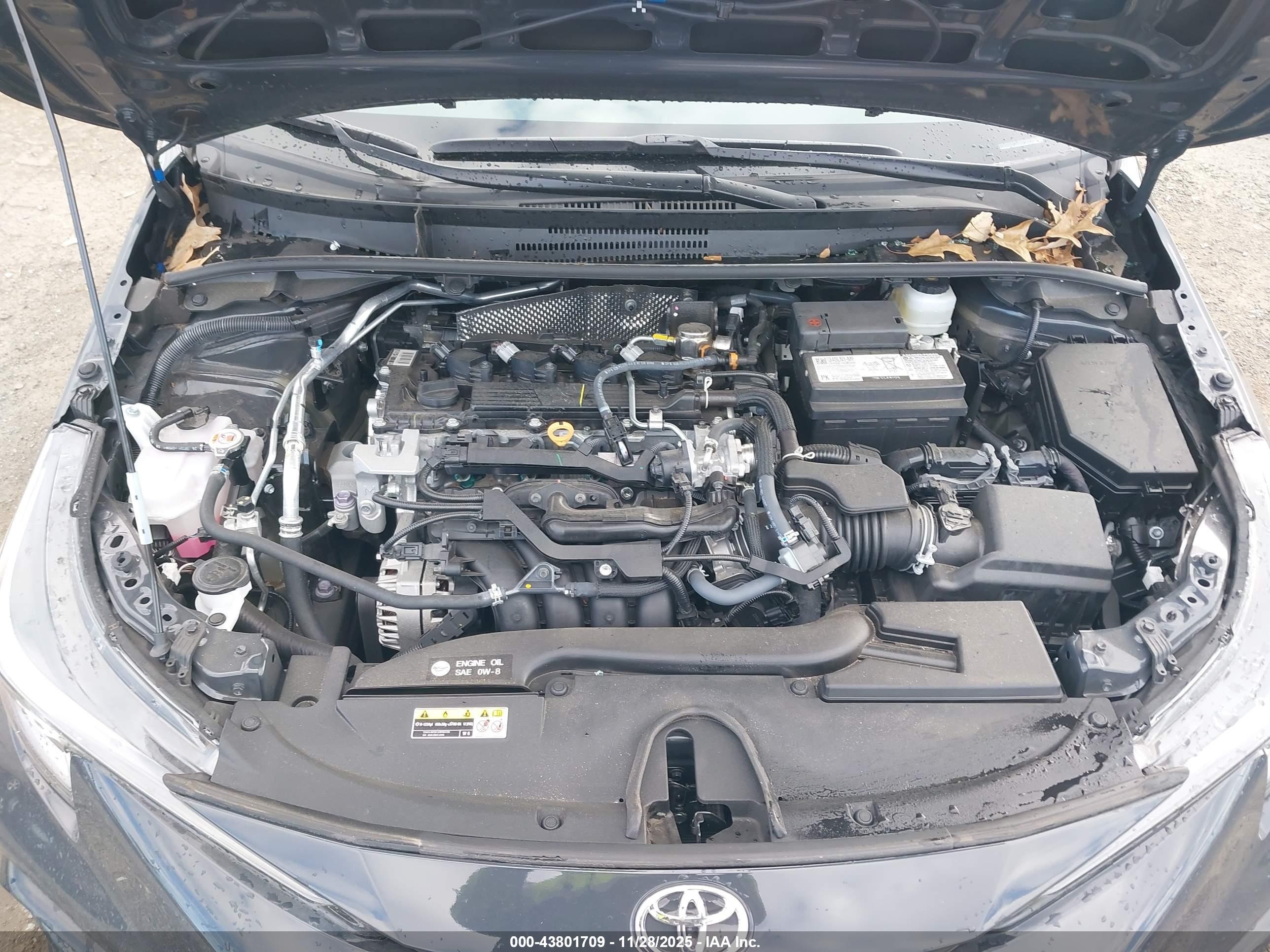 TOYOTA COROLLA image 10