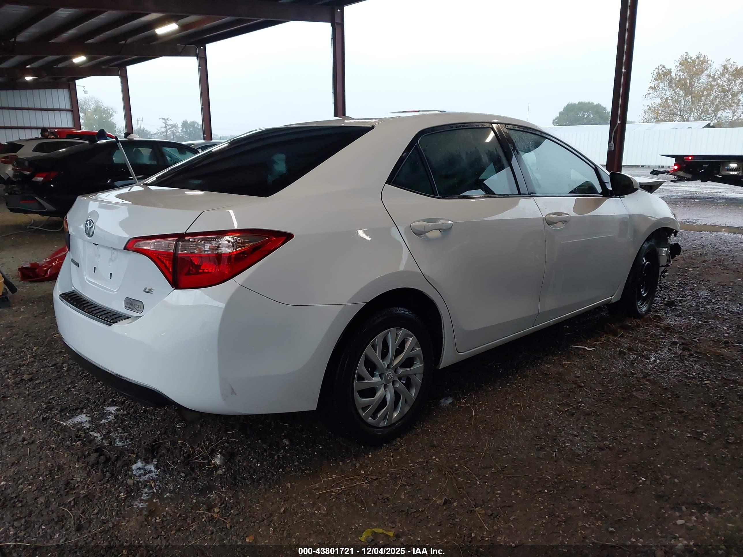 TOYOTA COROLLA image 4