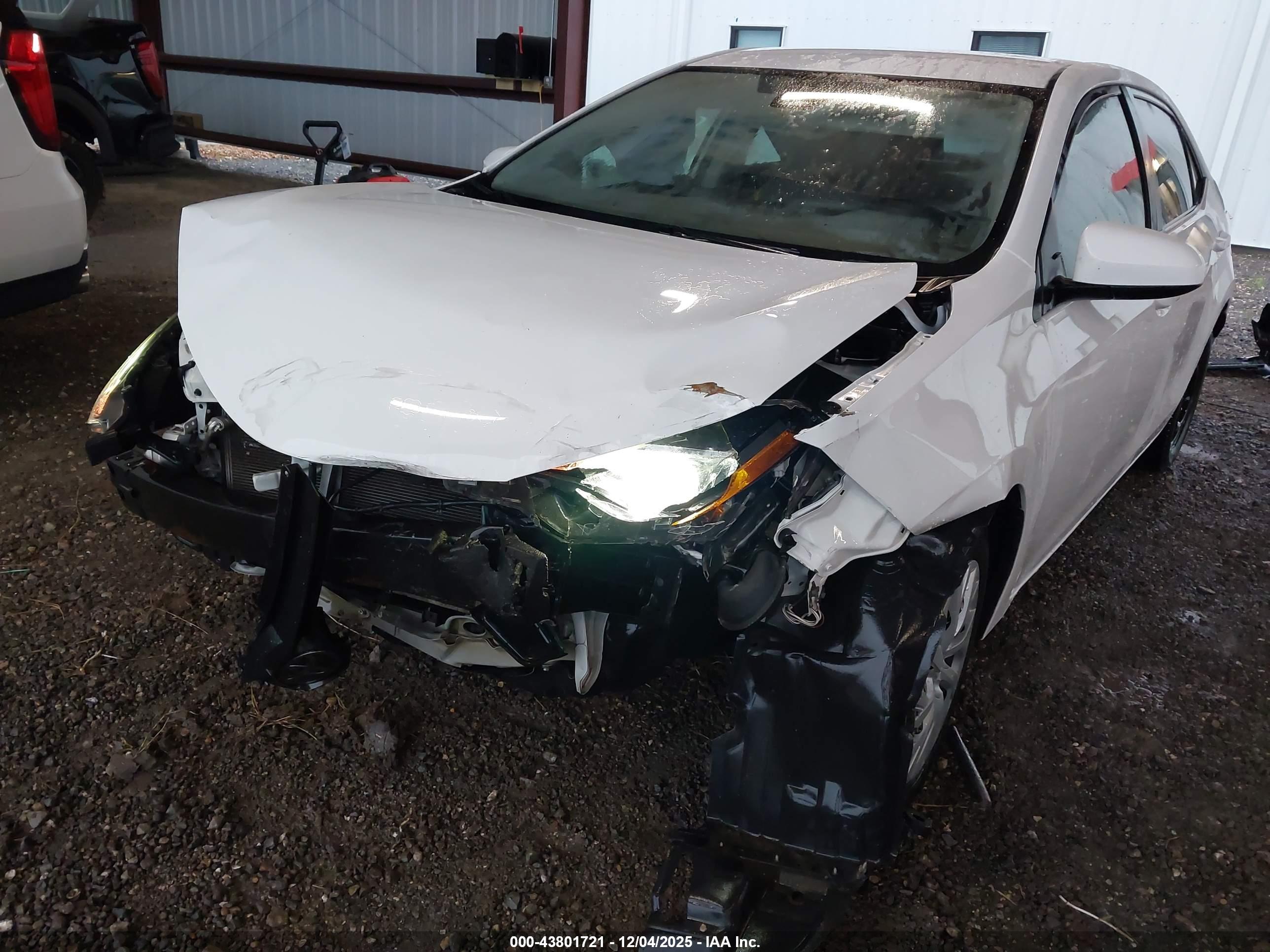 TOYOTA COROLLA image 6
