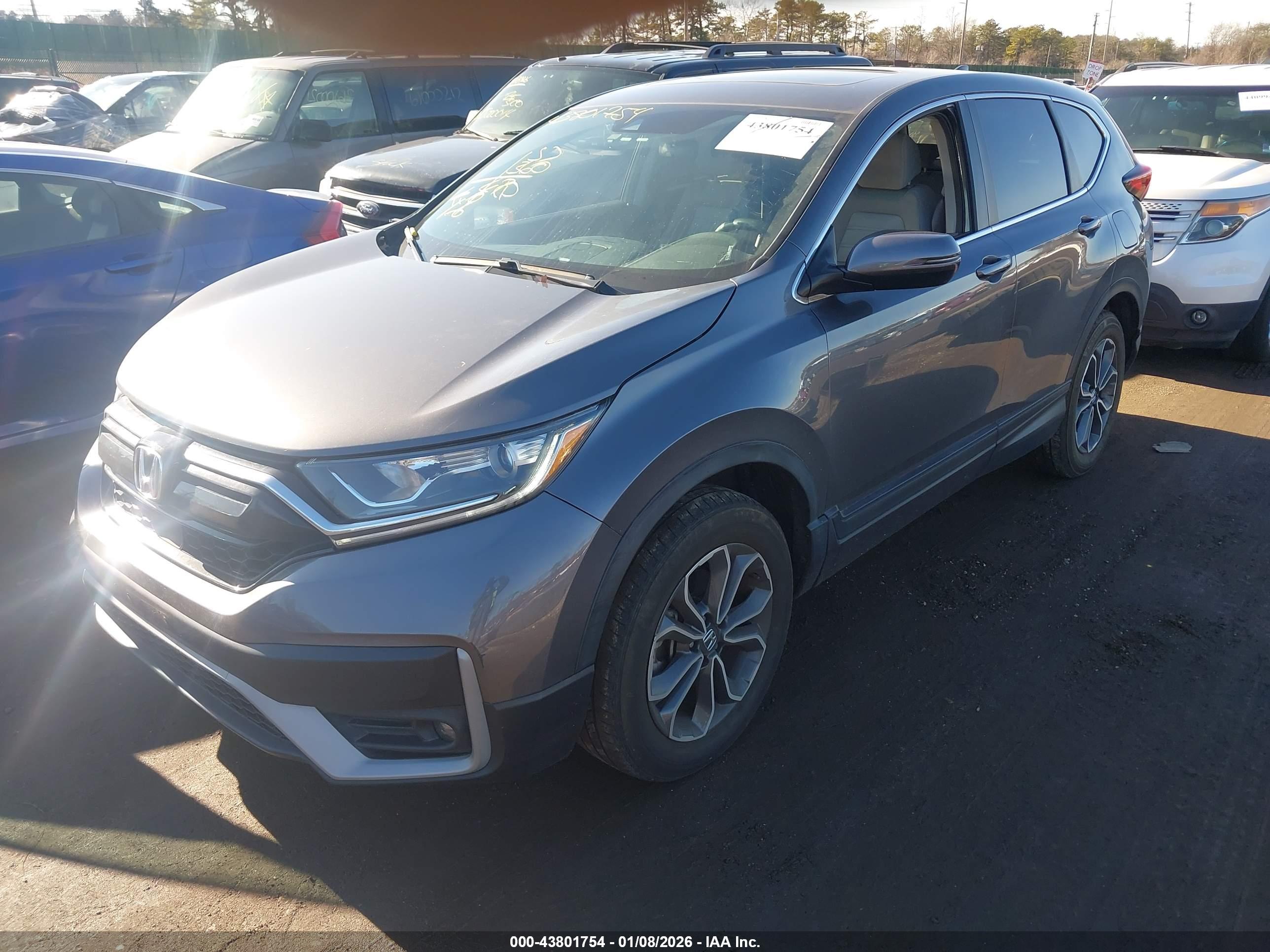 HONDA CR-V image 2