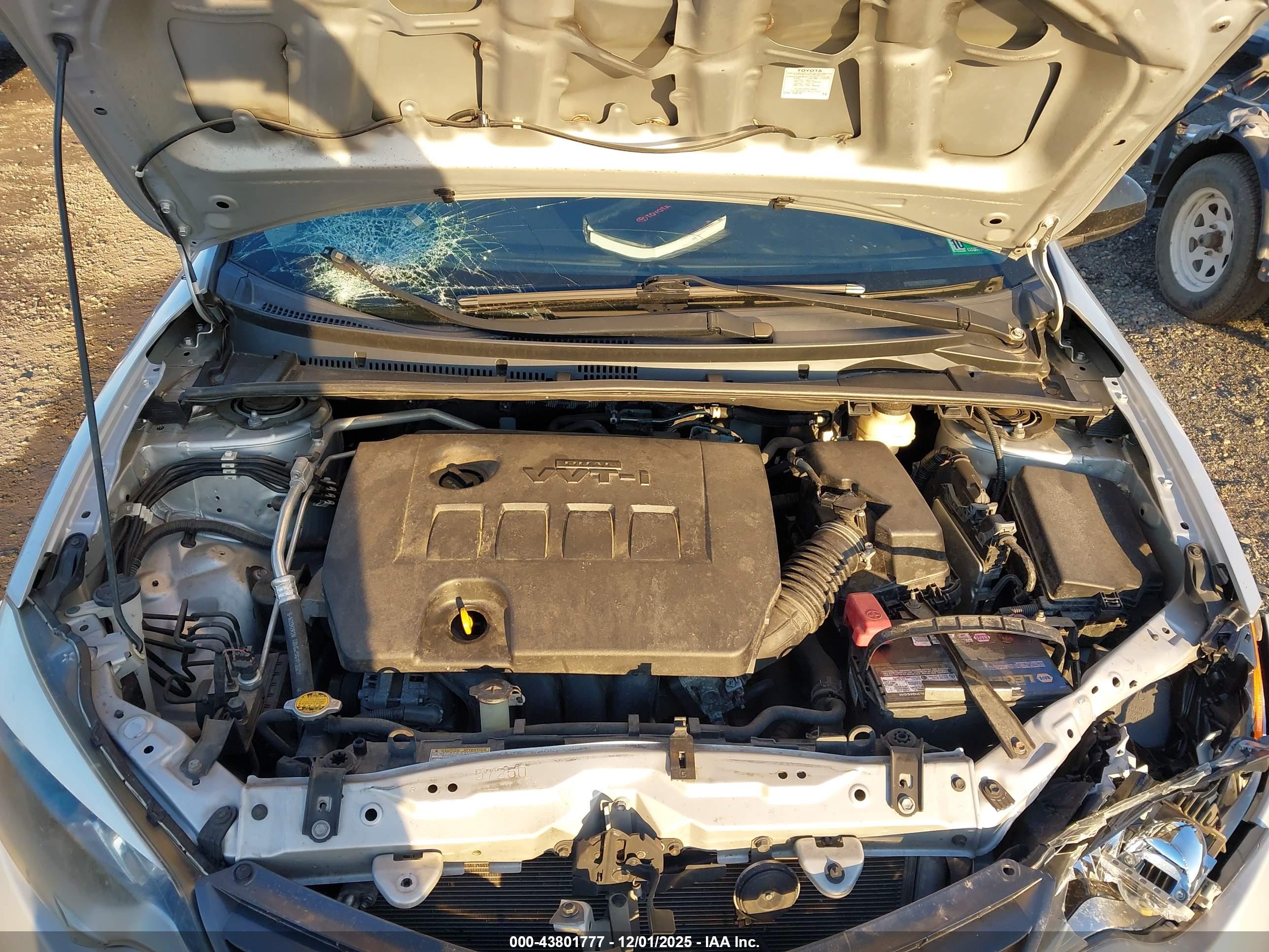 TOYOTA COROLLA image 10