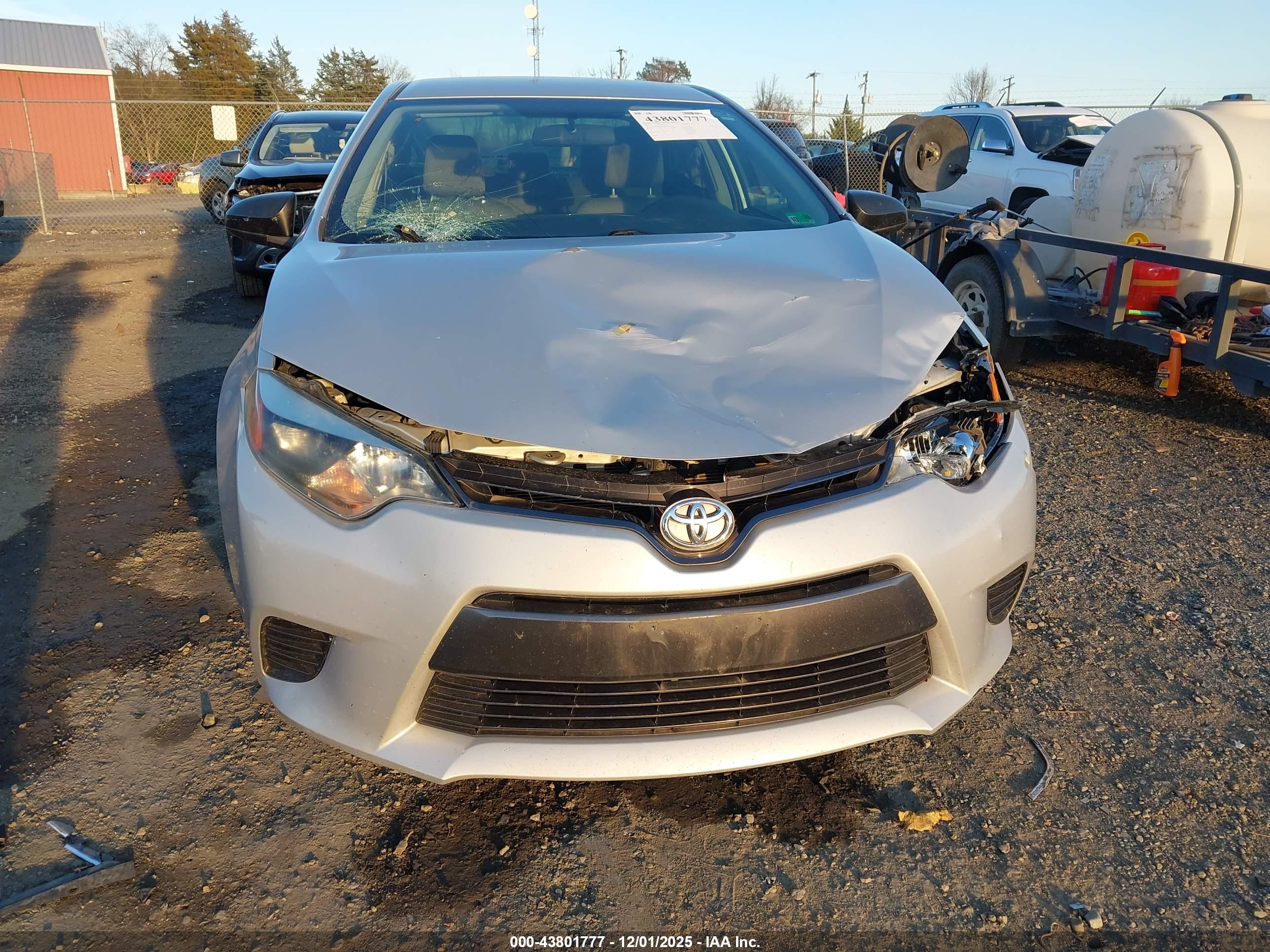 TOYOTA COROLLA image 6