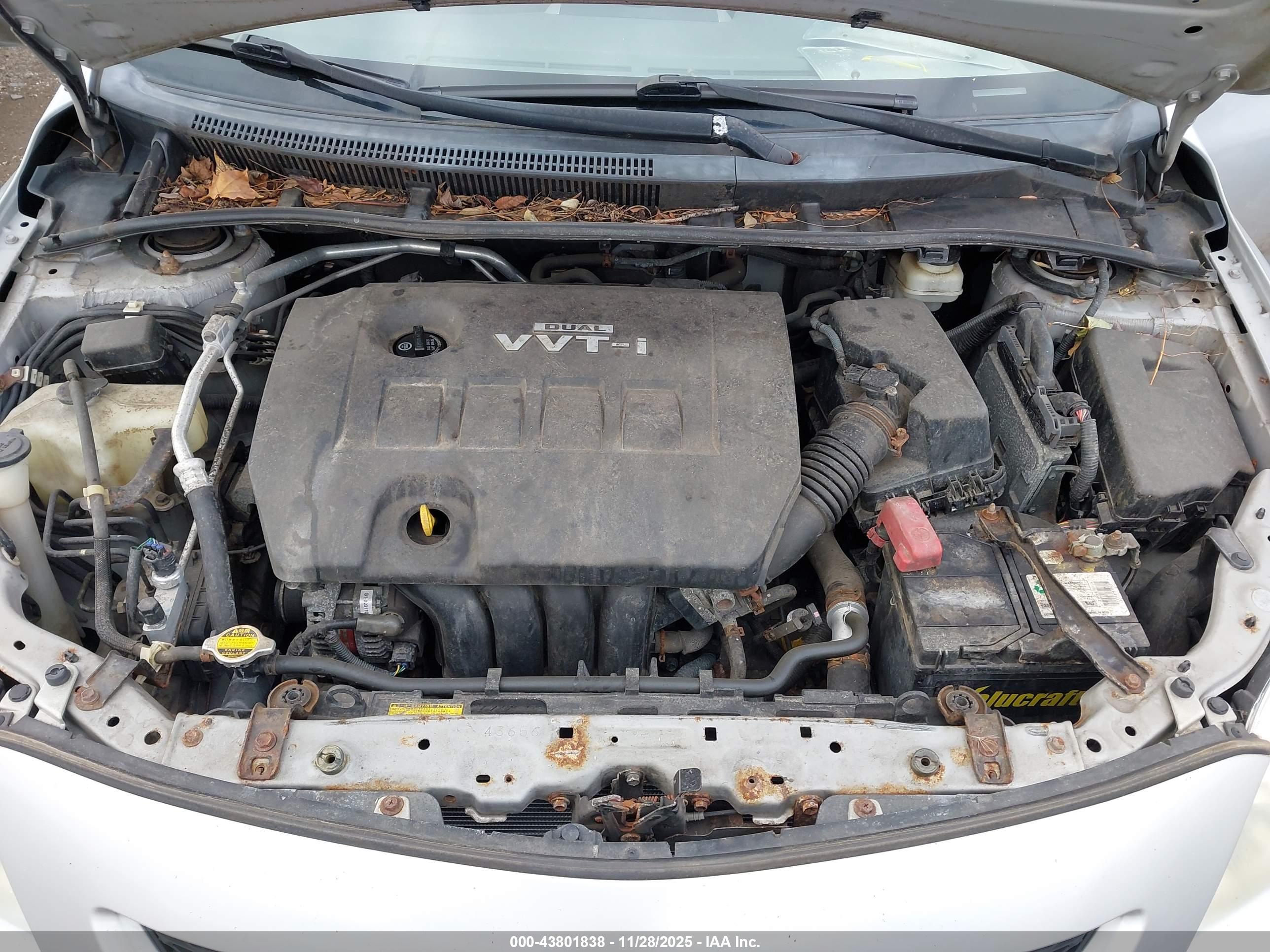 TOYOTA COROLLA image 10