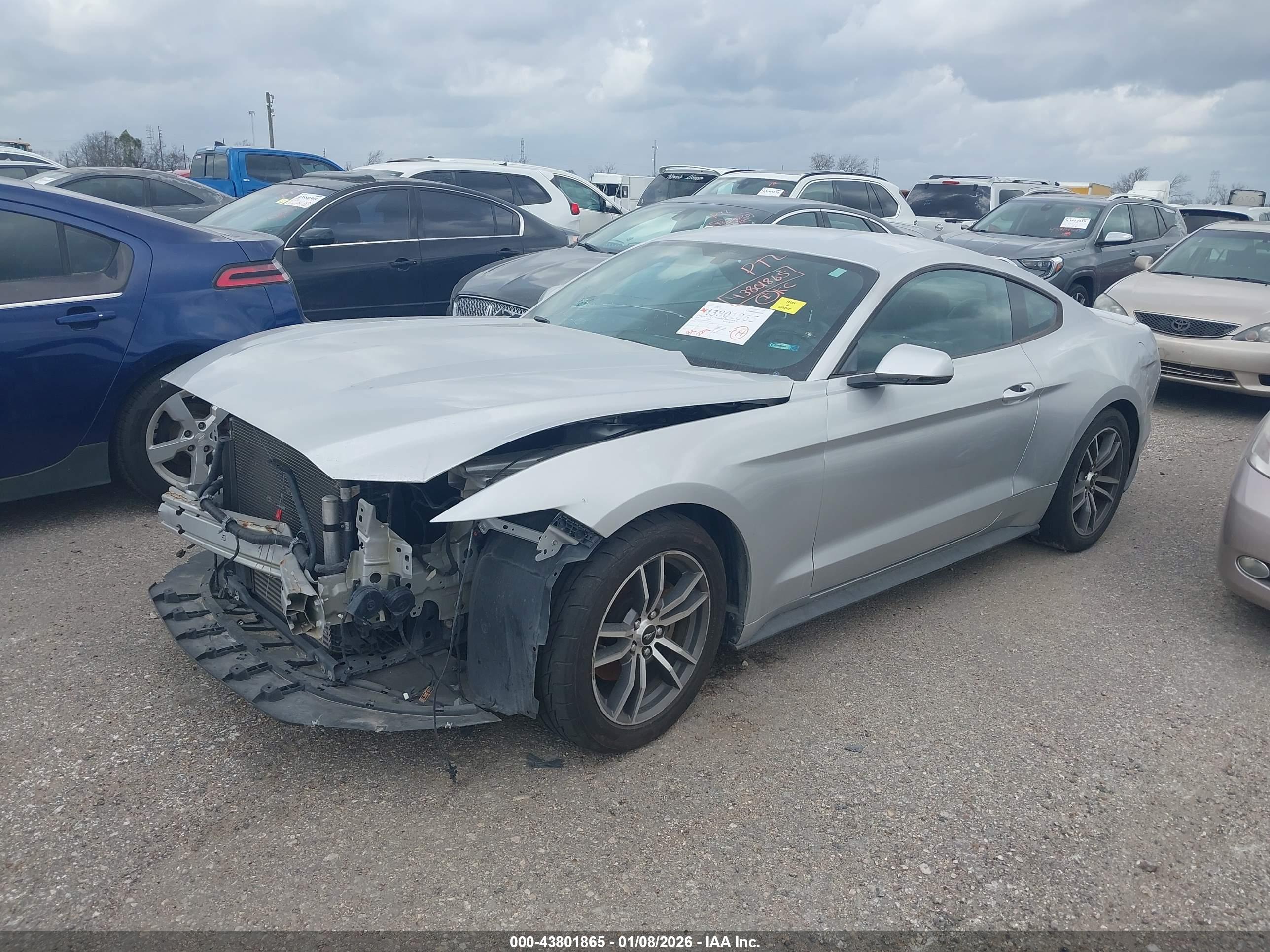 FORD MUSTANG image 2