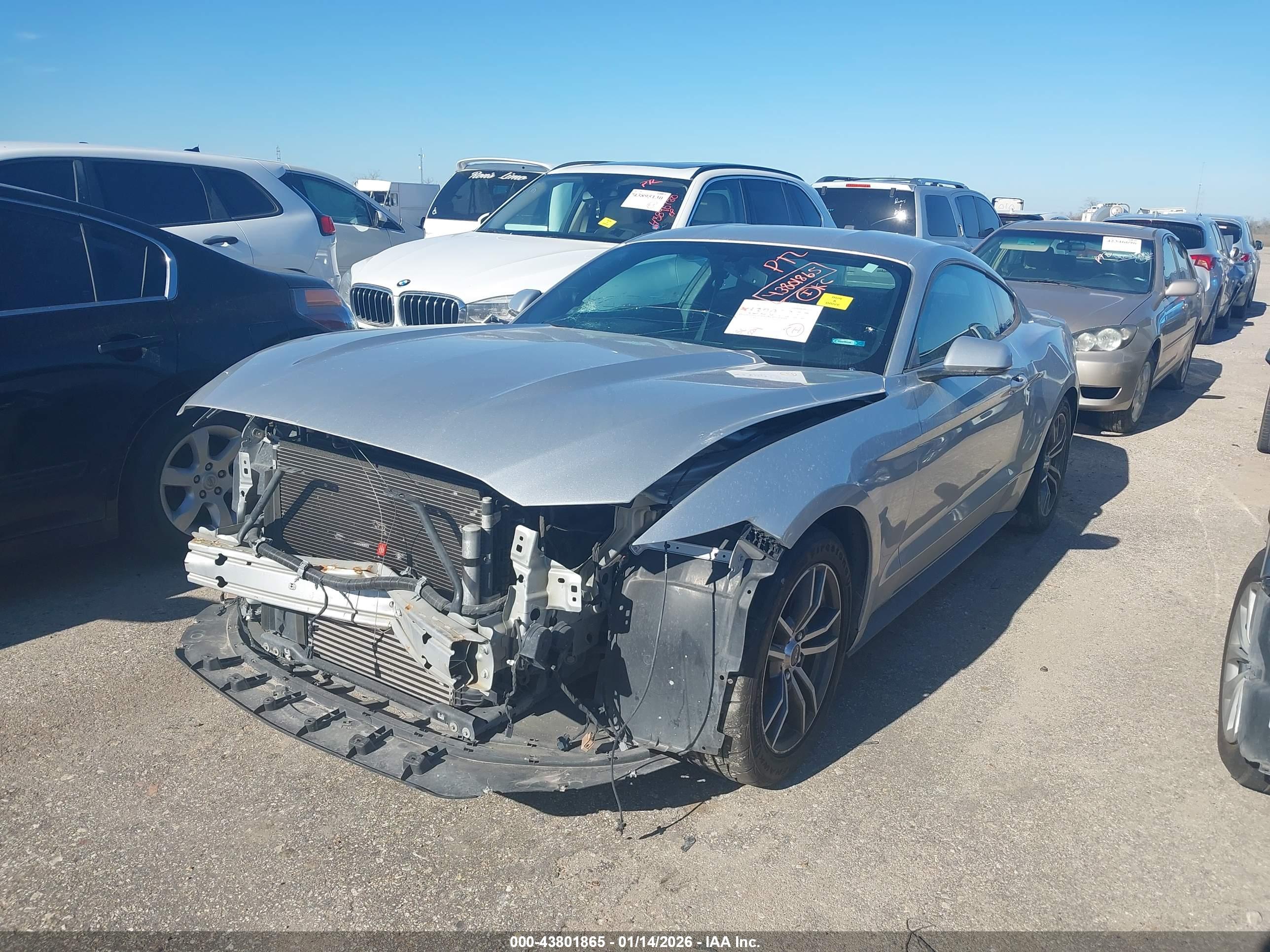 FORD MUSTANG image 6