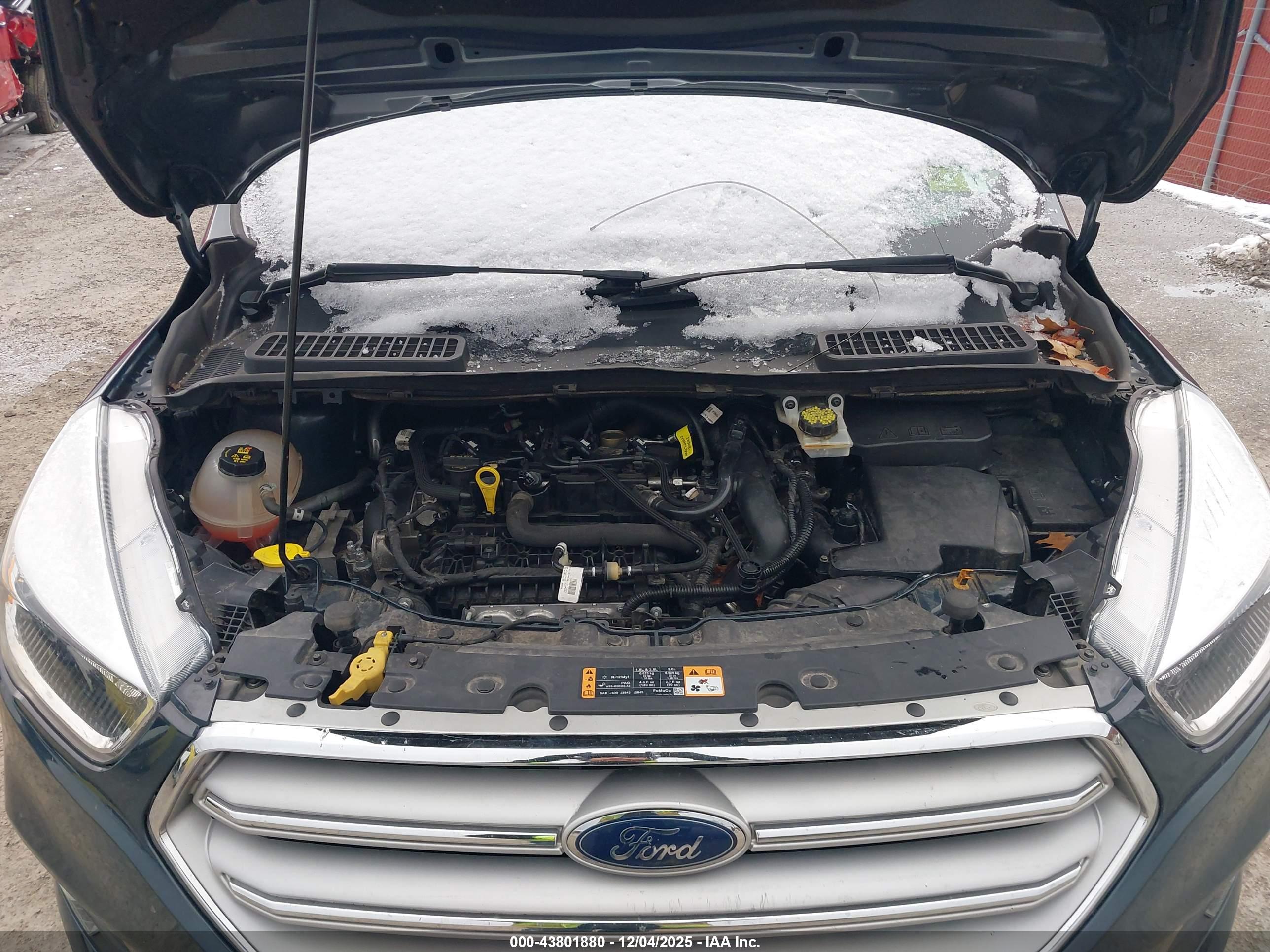 FORD ESCAPE image 10
