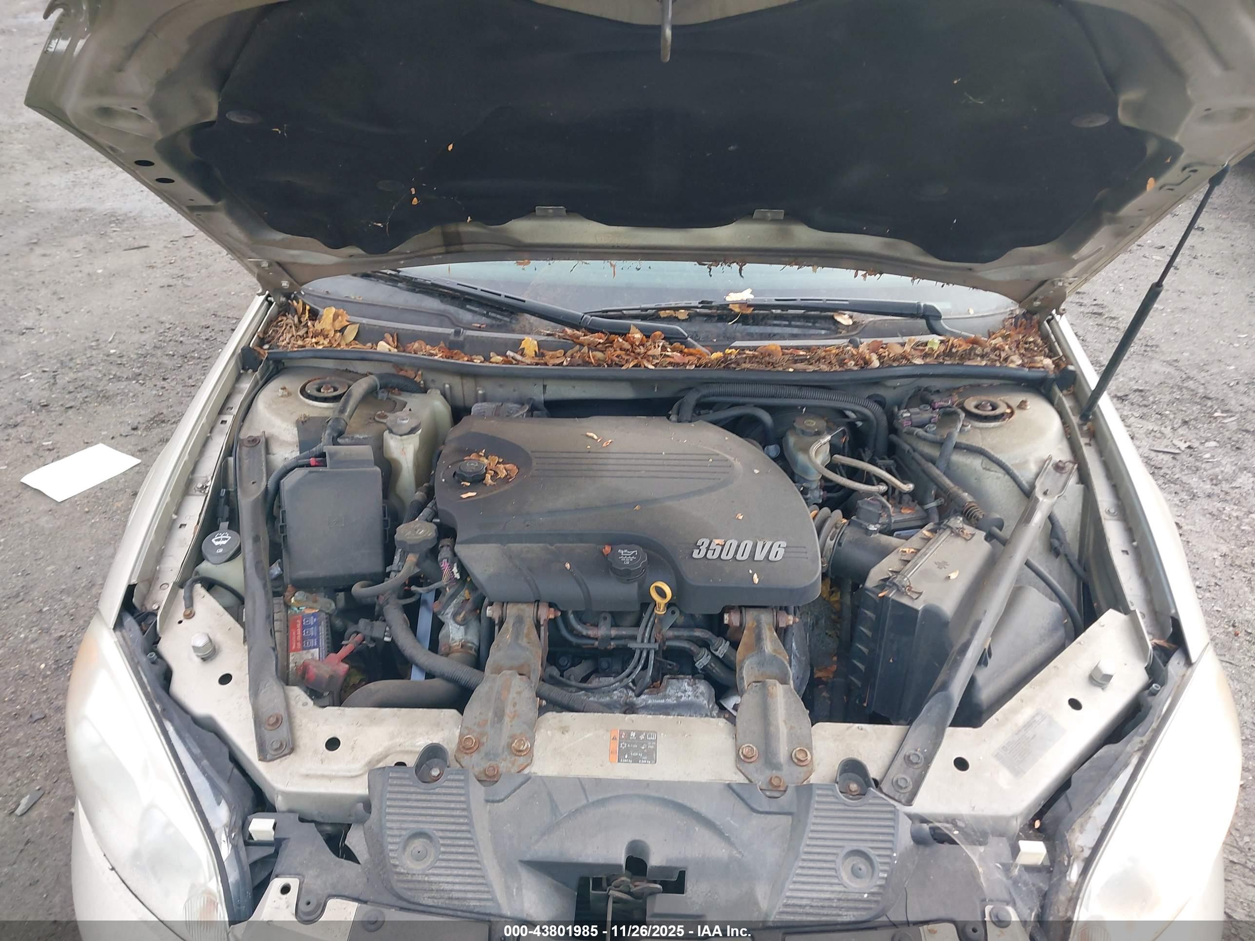 CHEVROLET IMPALA image 10