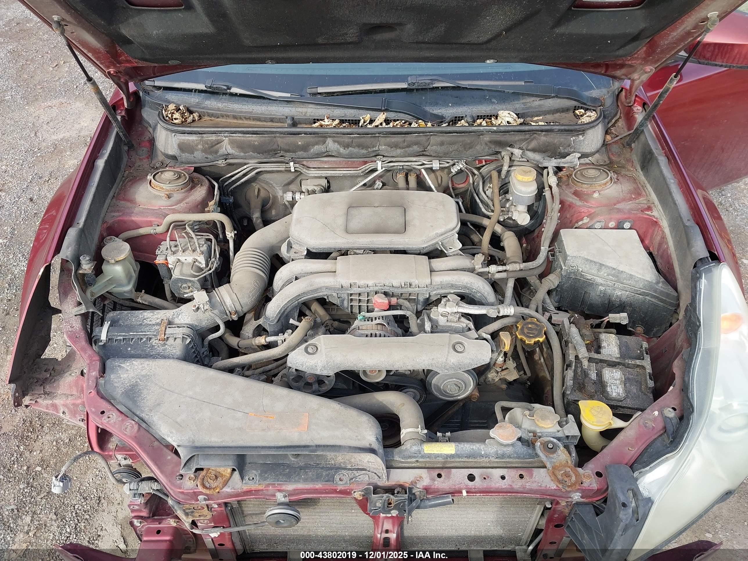 SUBARU LEGACY image 10