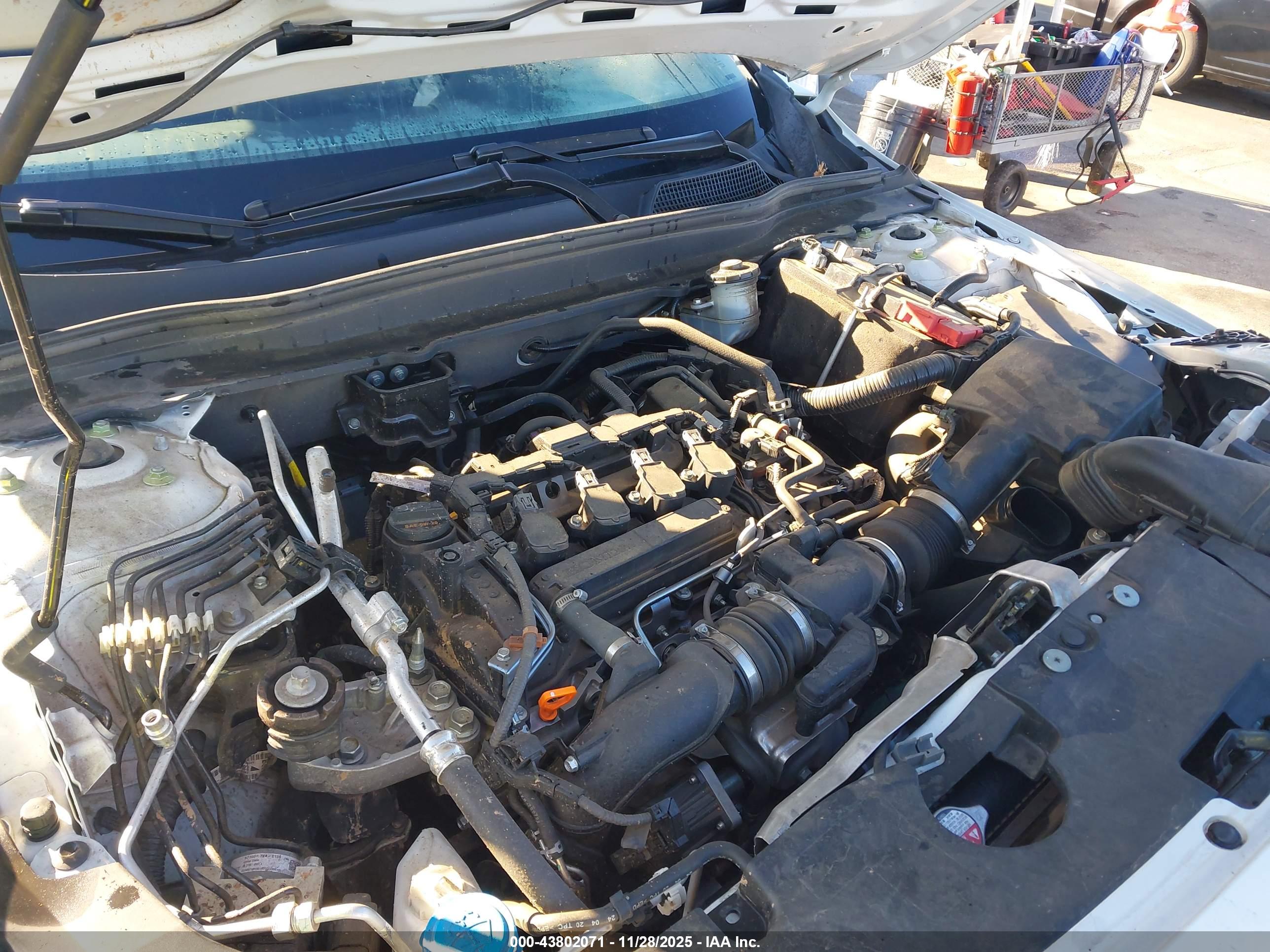 HONDA ACCORD image 10
