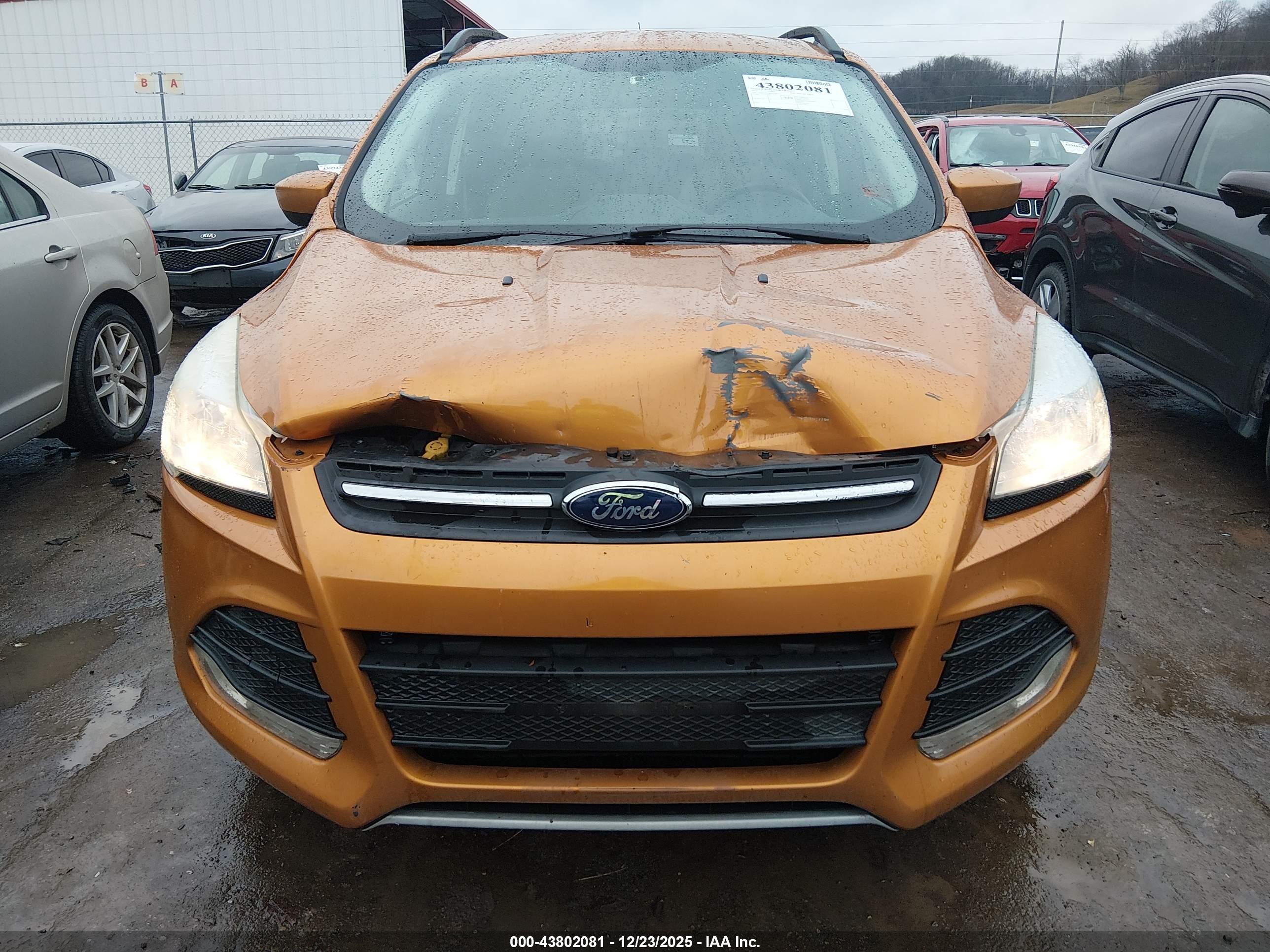 FORD ESCAPE image 6