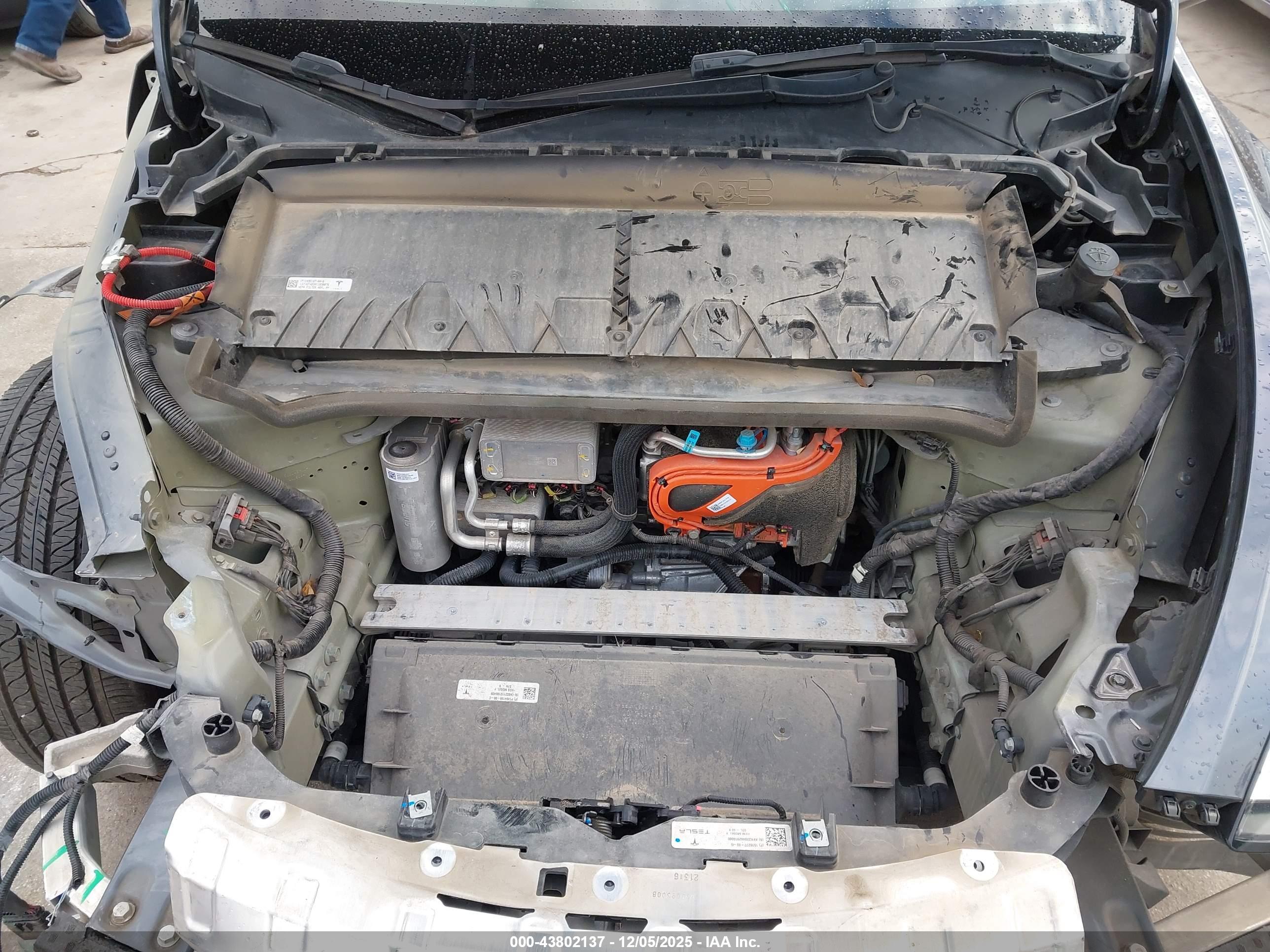 TESLA MODEL image 10