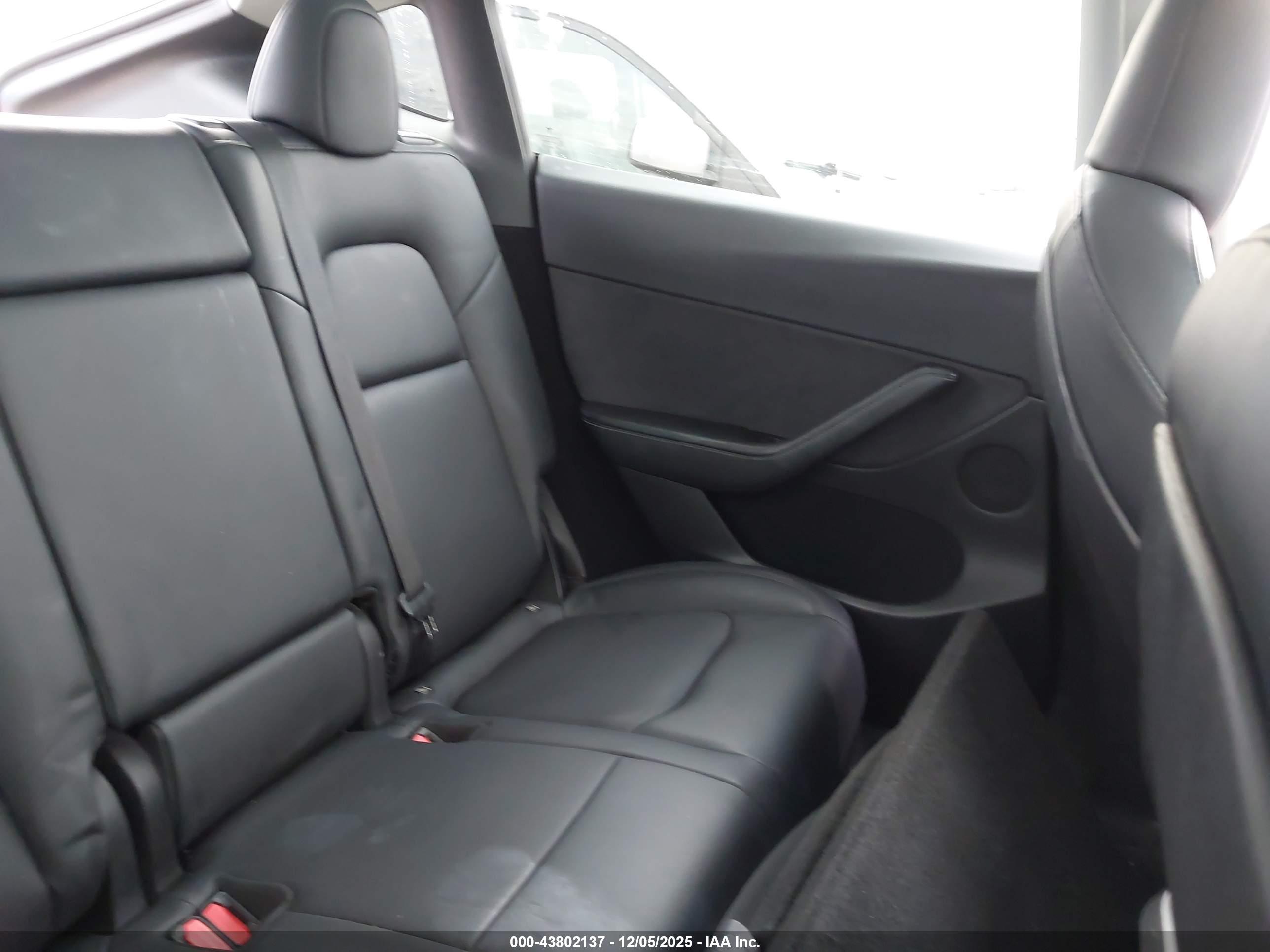 TESLA MODEL image 8