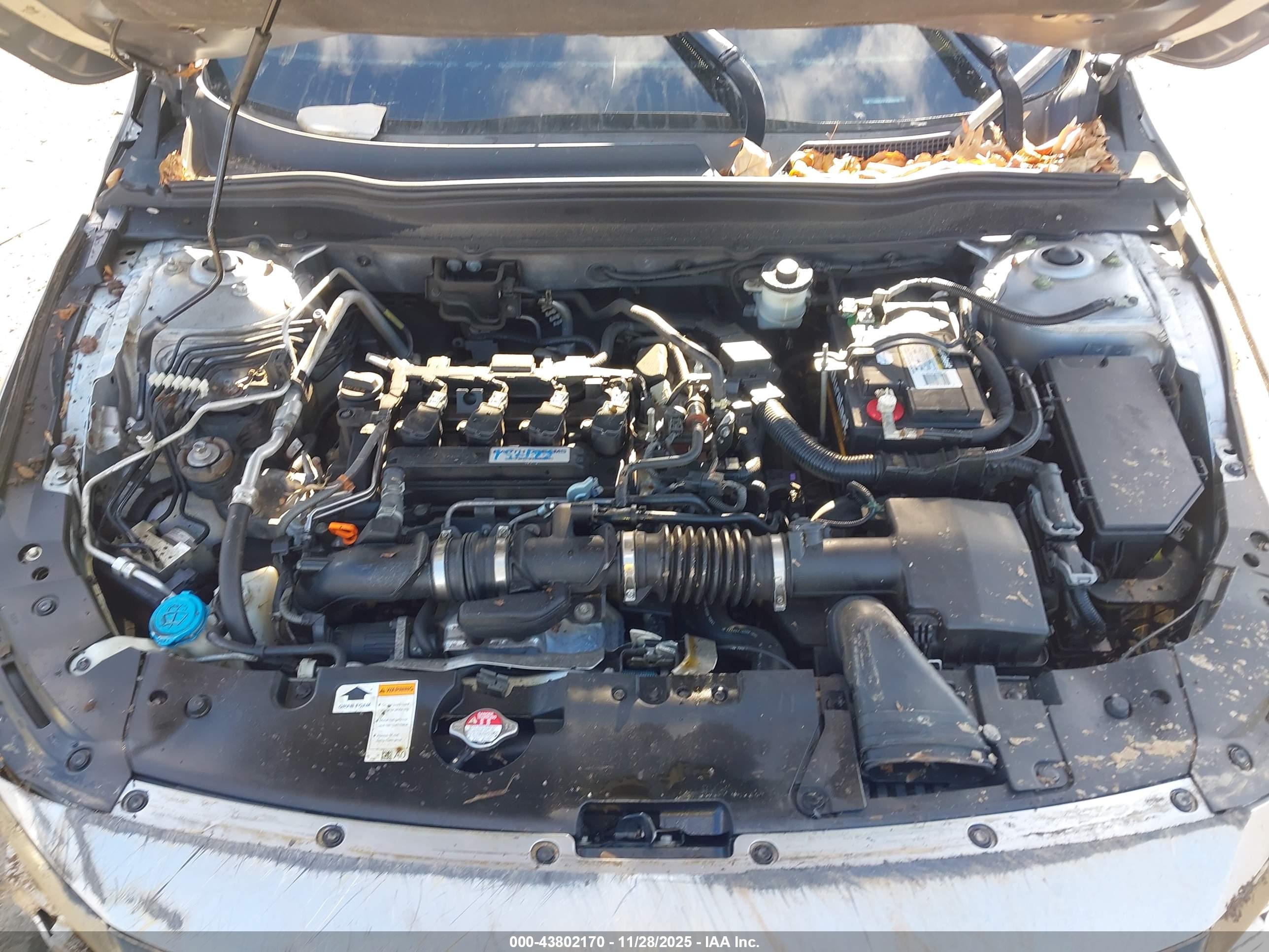 HONDA ACCORD image 10