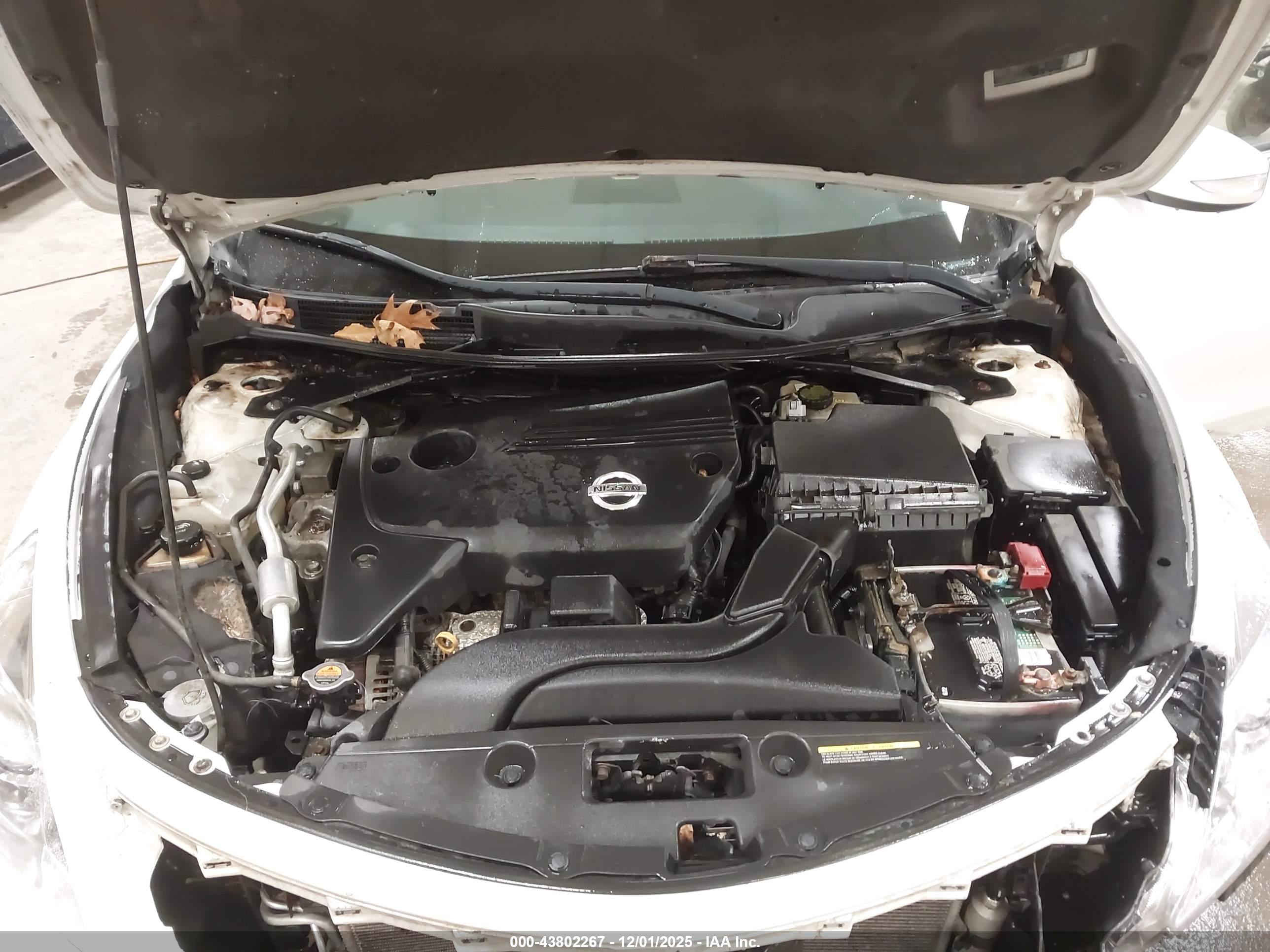 NISSAN ALTIMA image 10