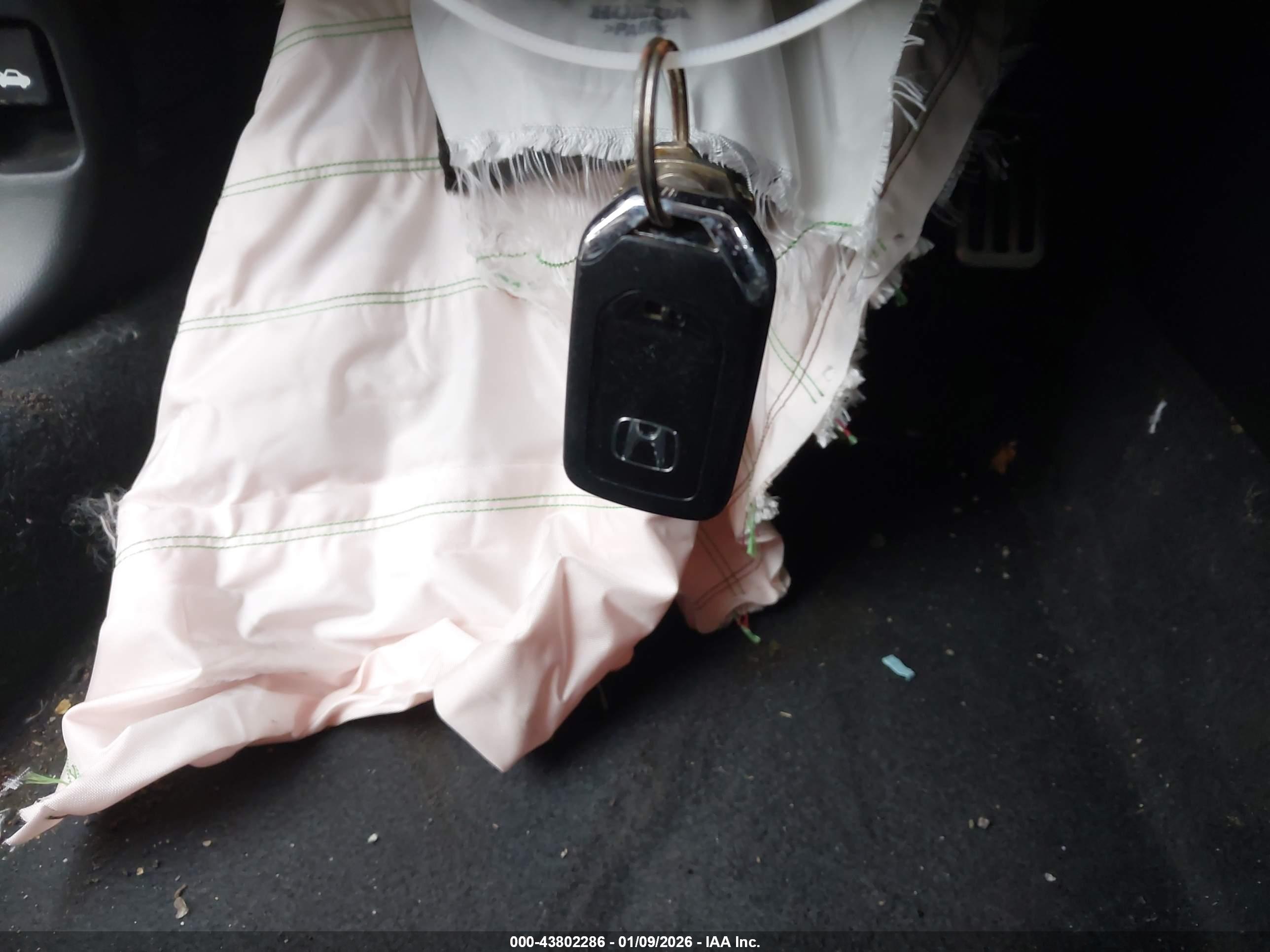 HONDA ACCORD image 11