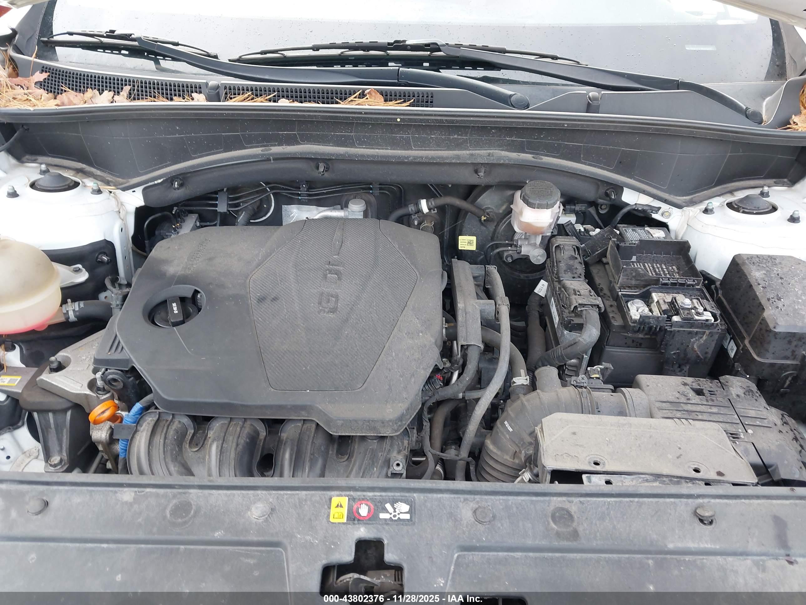 HYUNDAI SANTA image 10