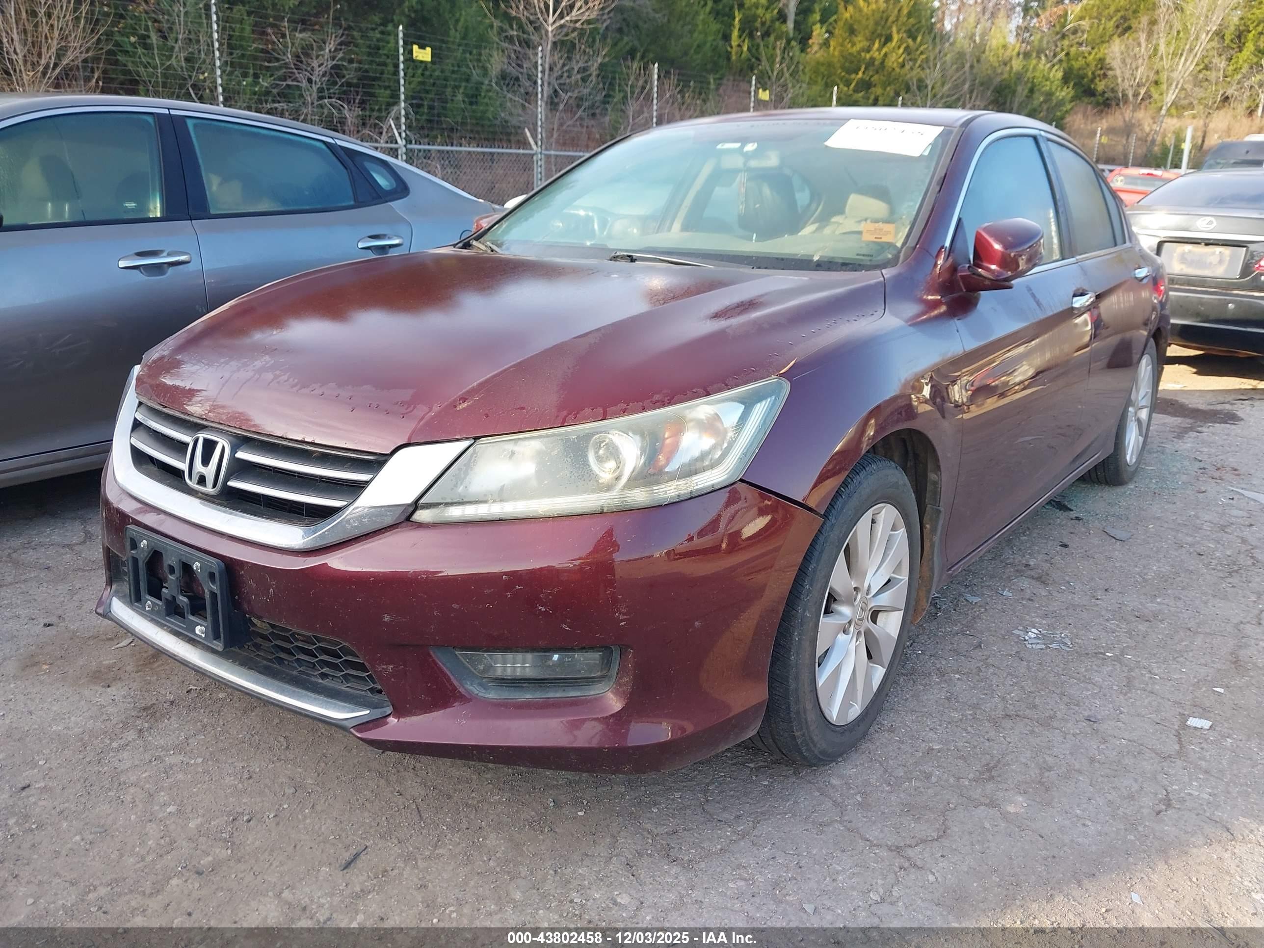 HONDA ACCORD image 2