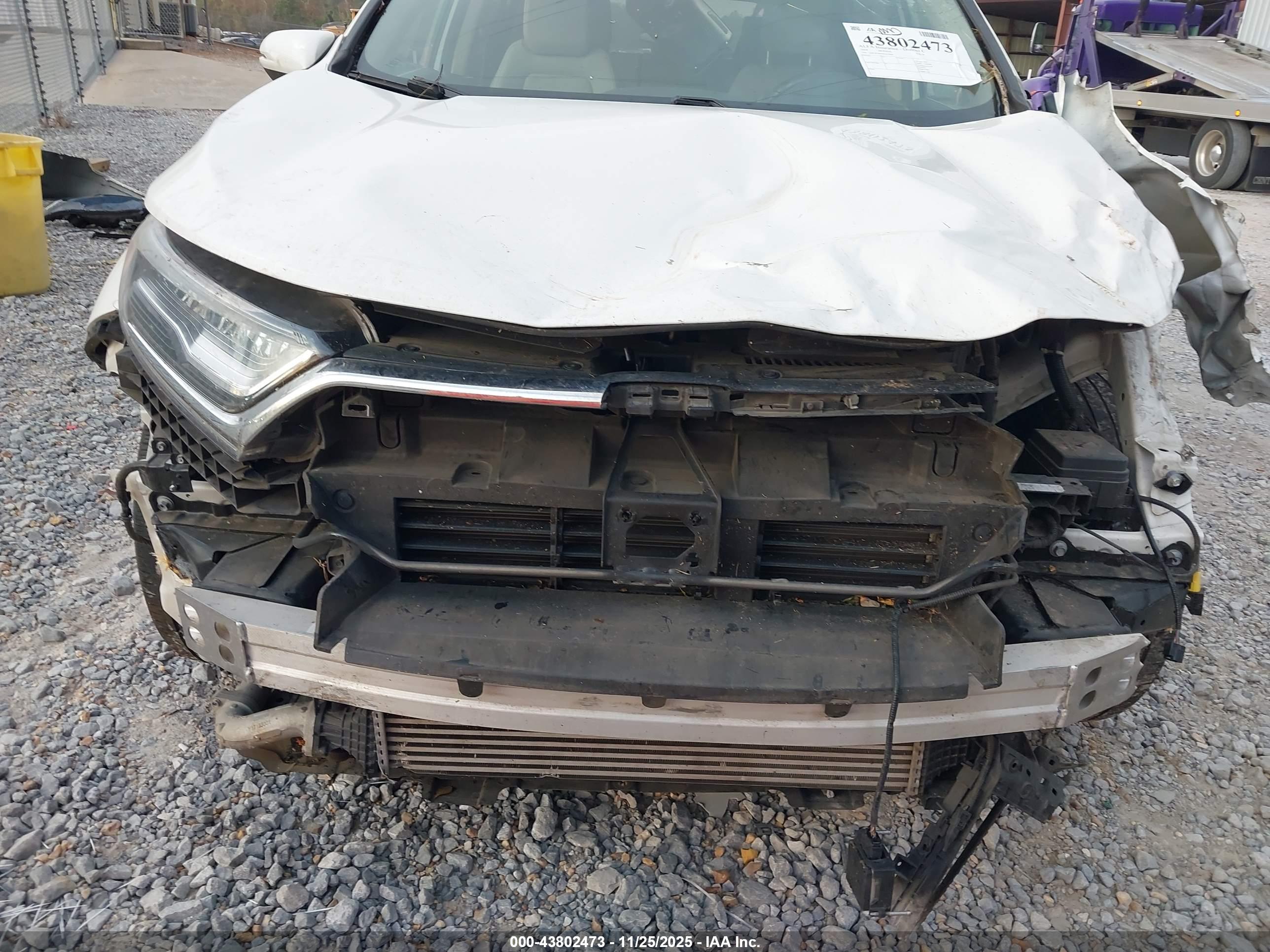 HONDA CR-V image 6