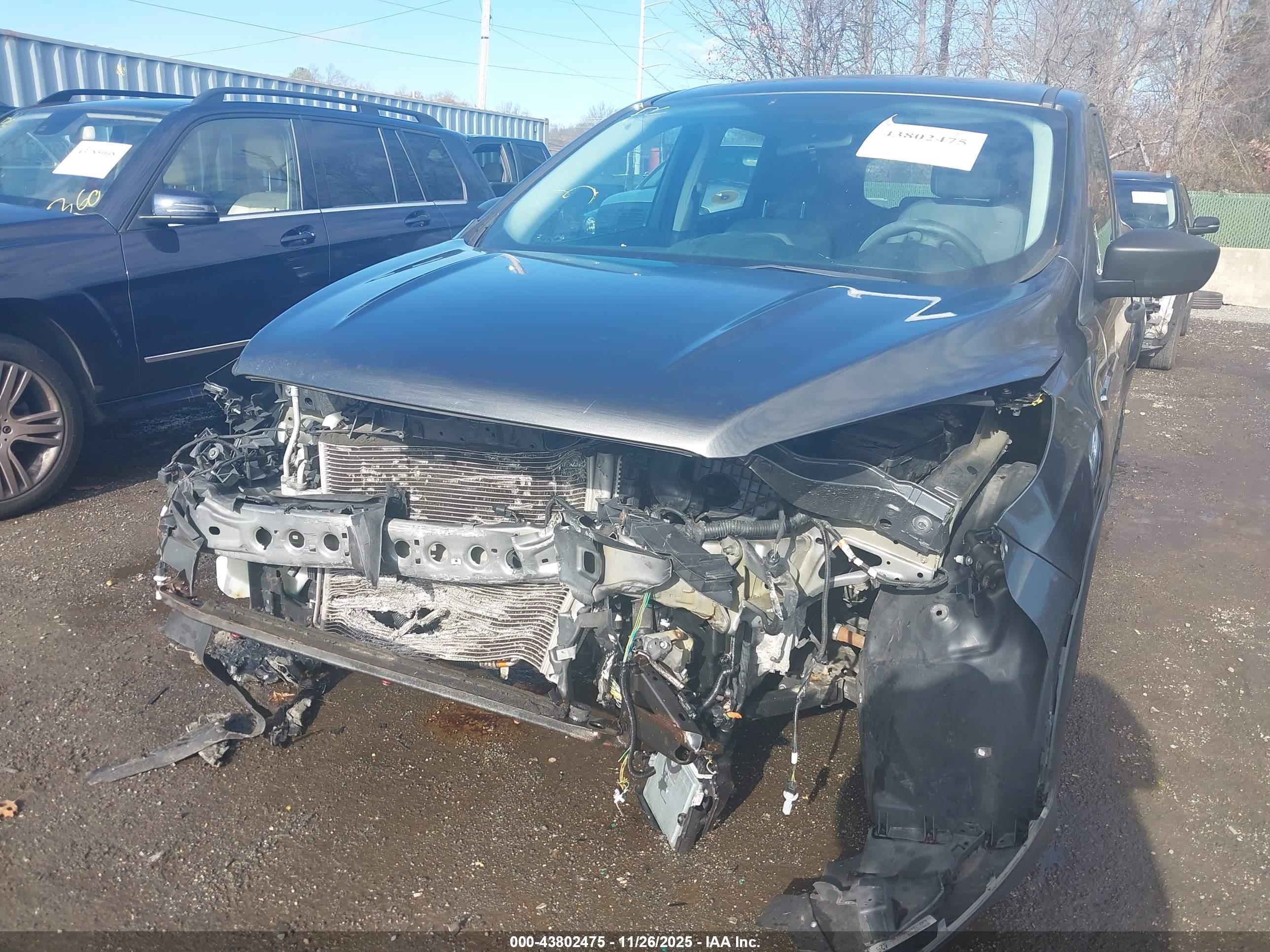 FORD ESCAPE image 6