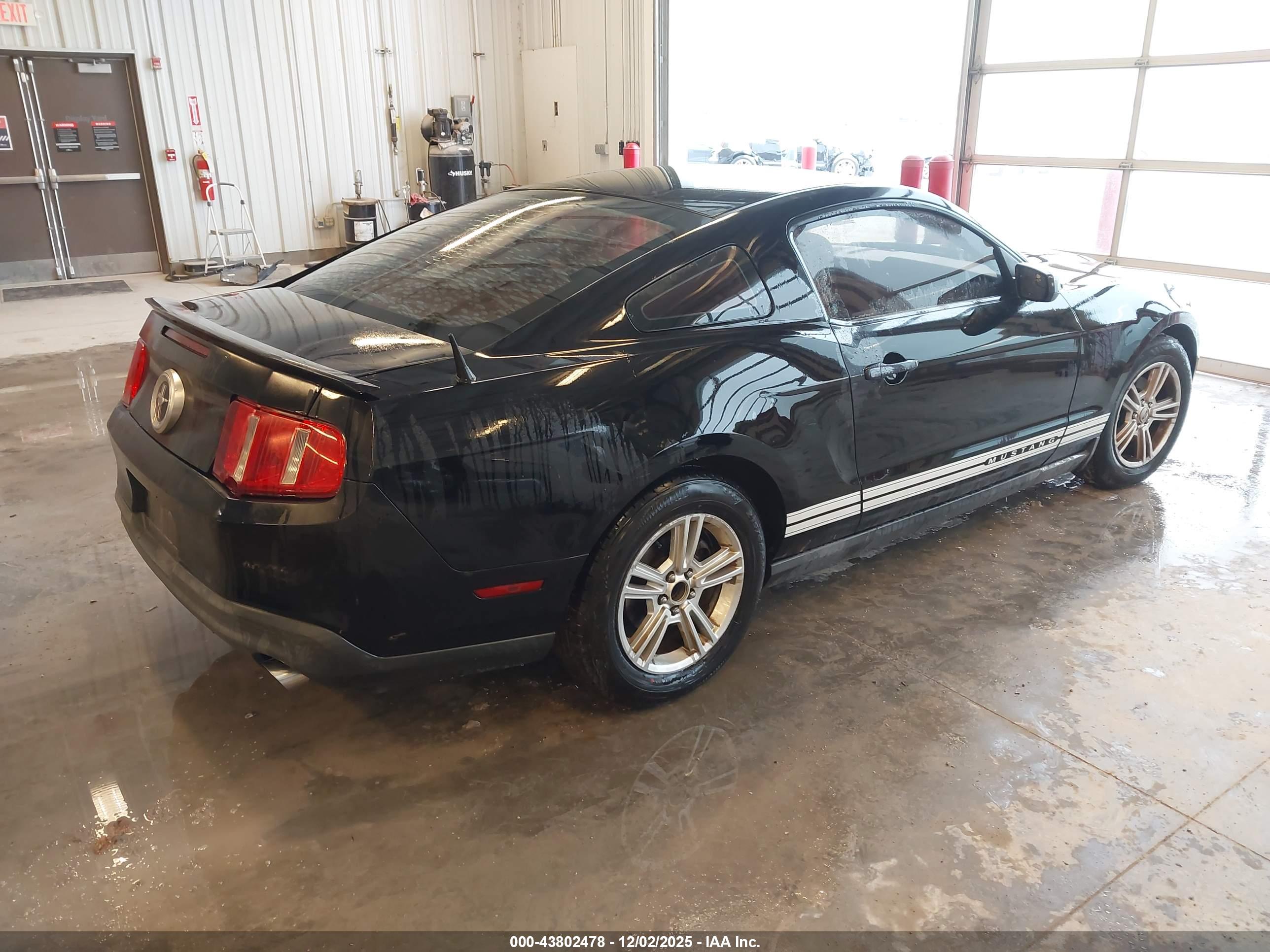 FORD MUSTANG image 4