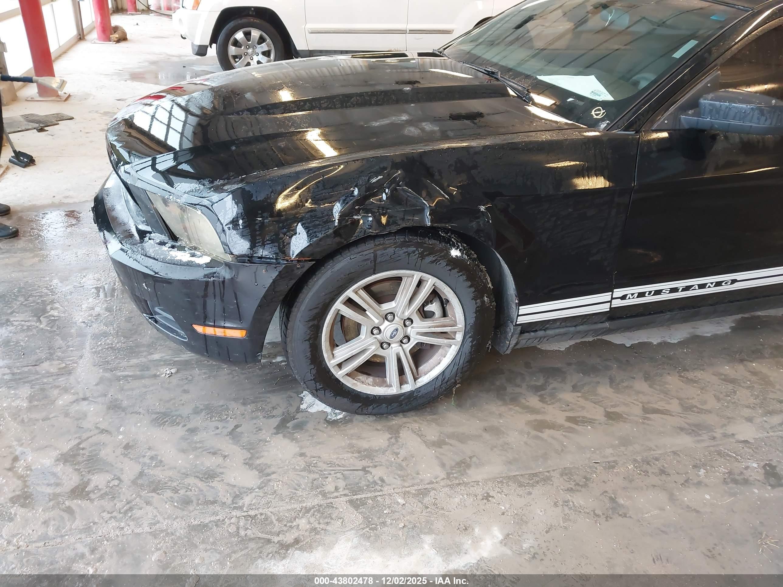 FORD MUSTANG image 6
