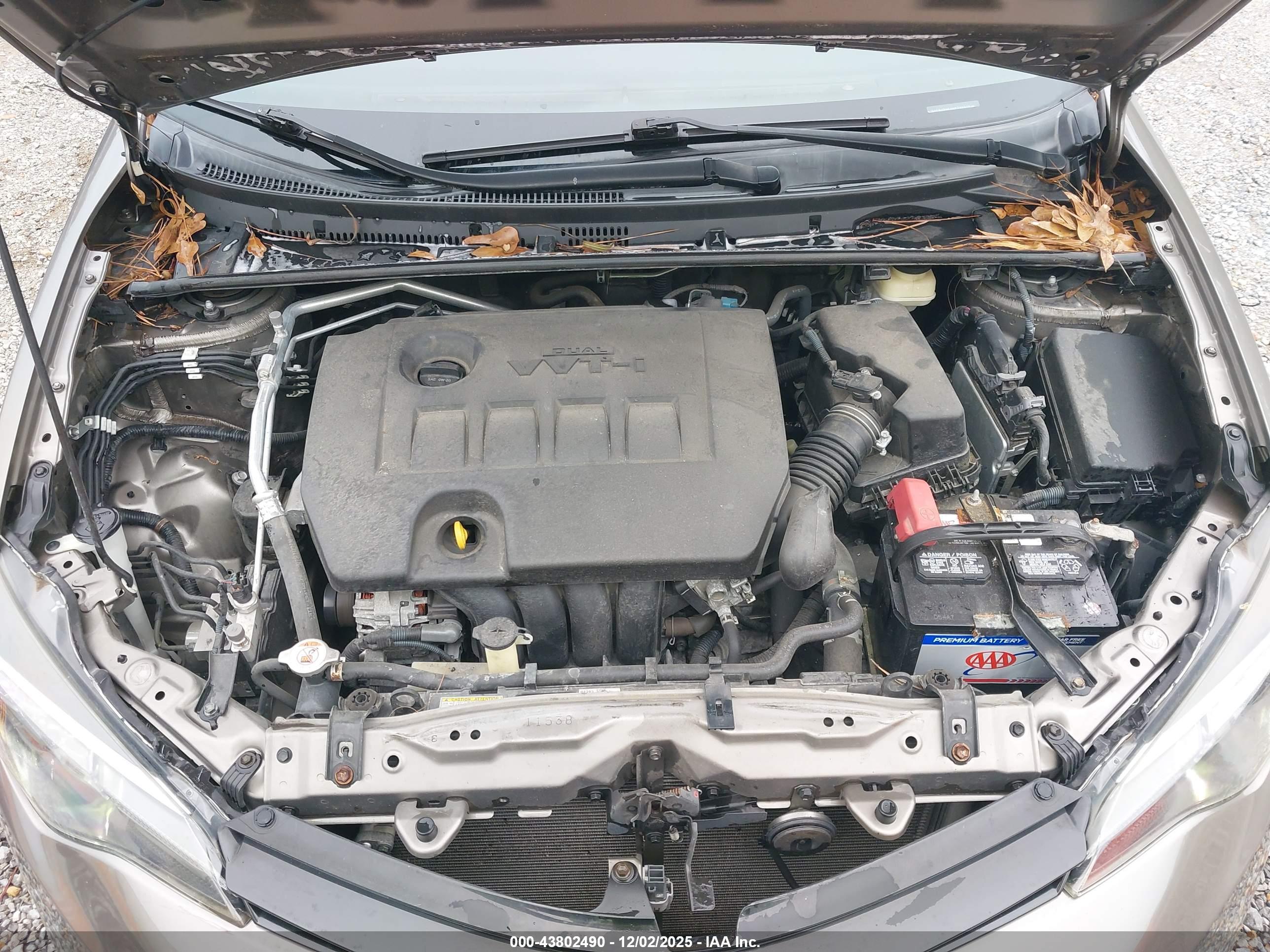 TOYOTA COROLLA image 10
