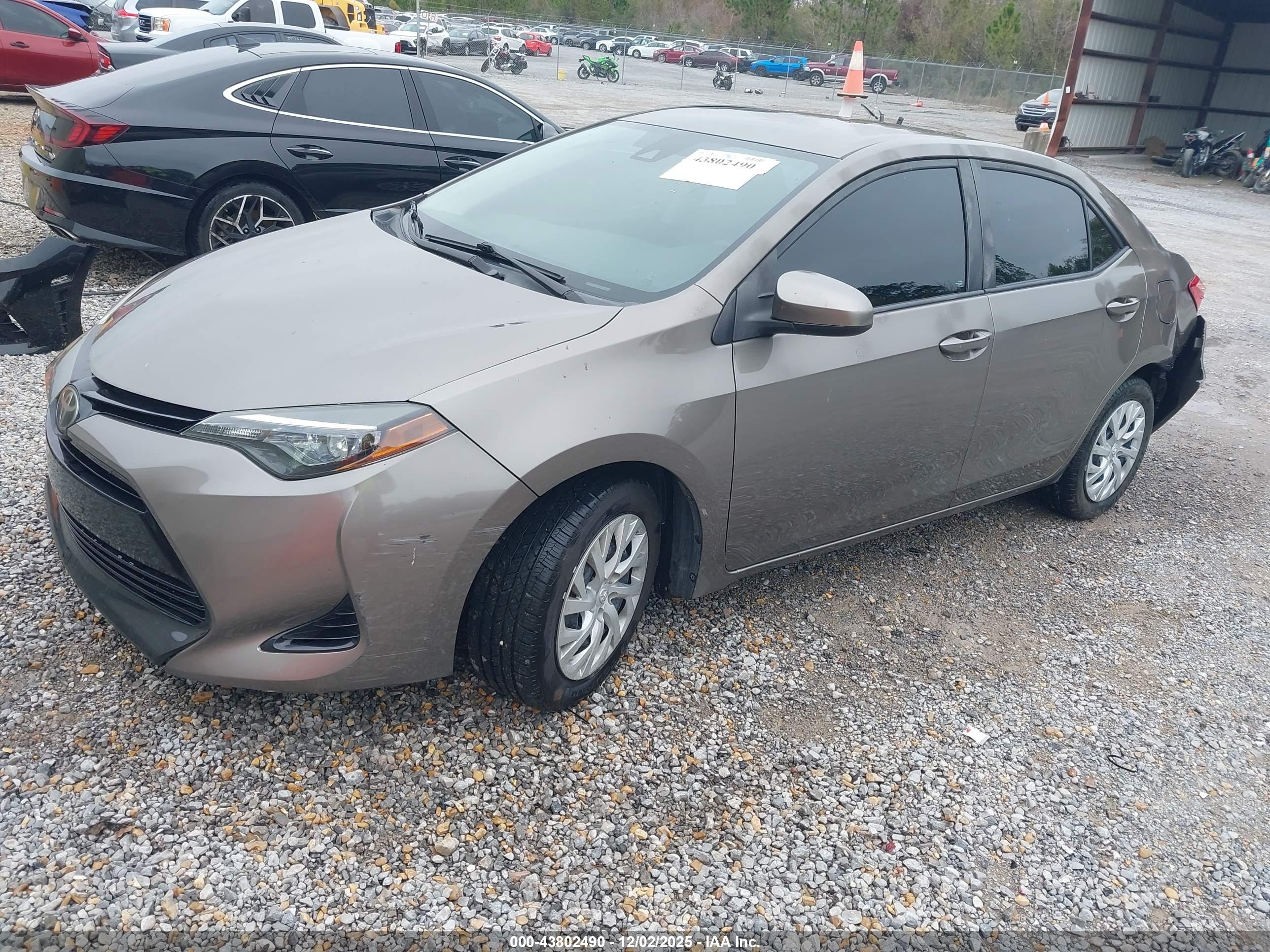 TOYOTA COROLLA image 2