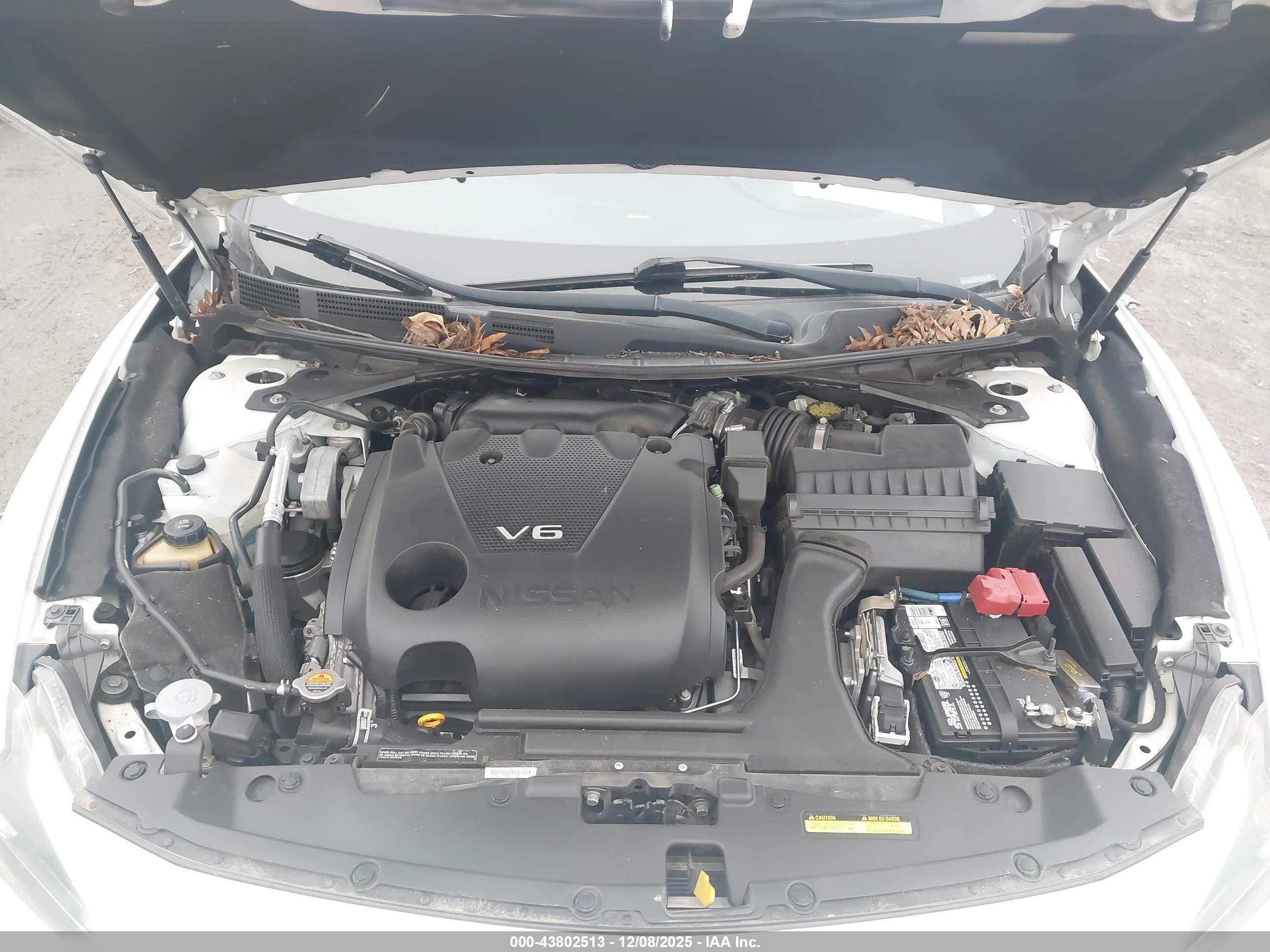 NISSAN MAXIMA image 10