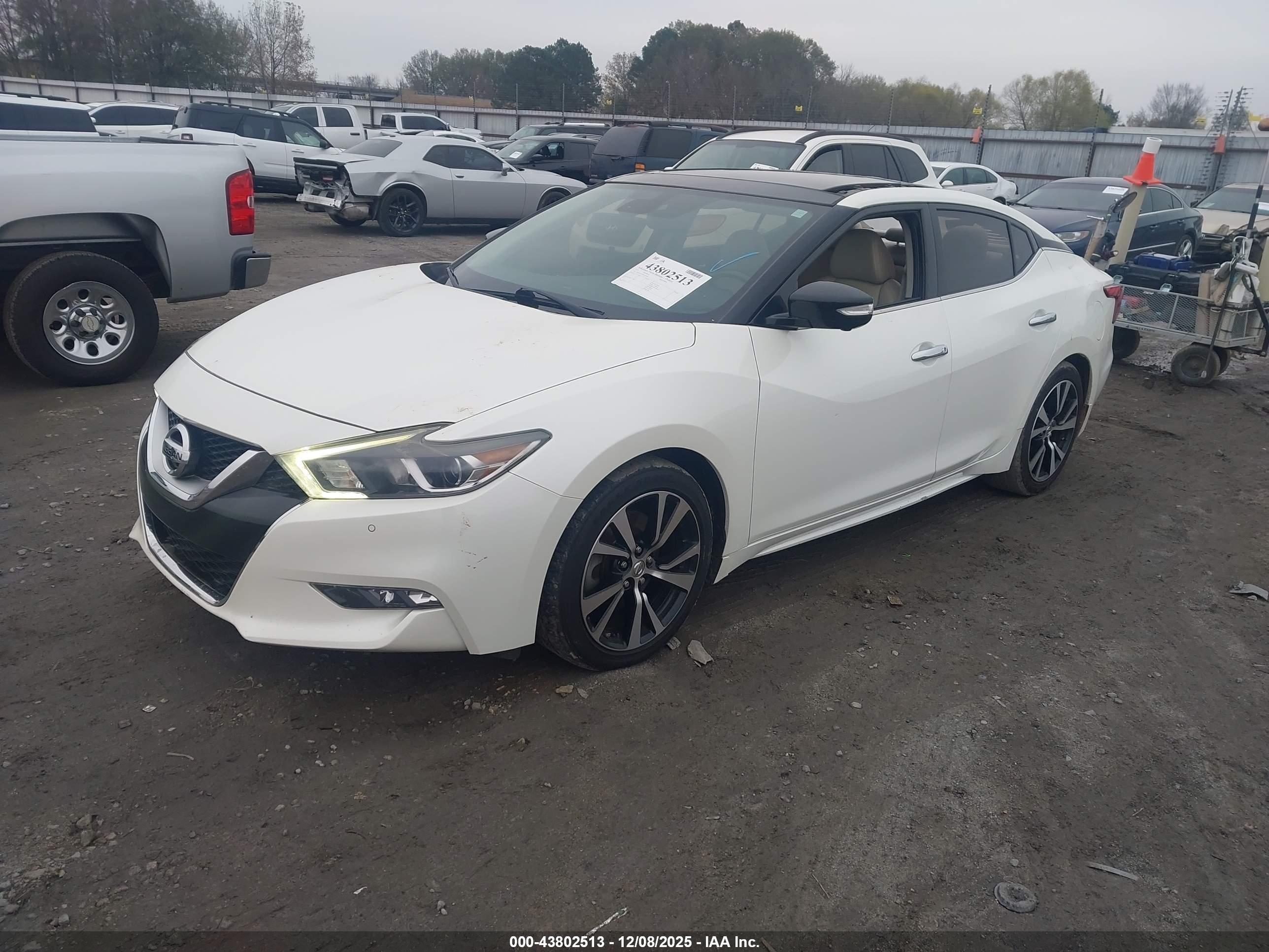 NISSAN MAXIMA image 2