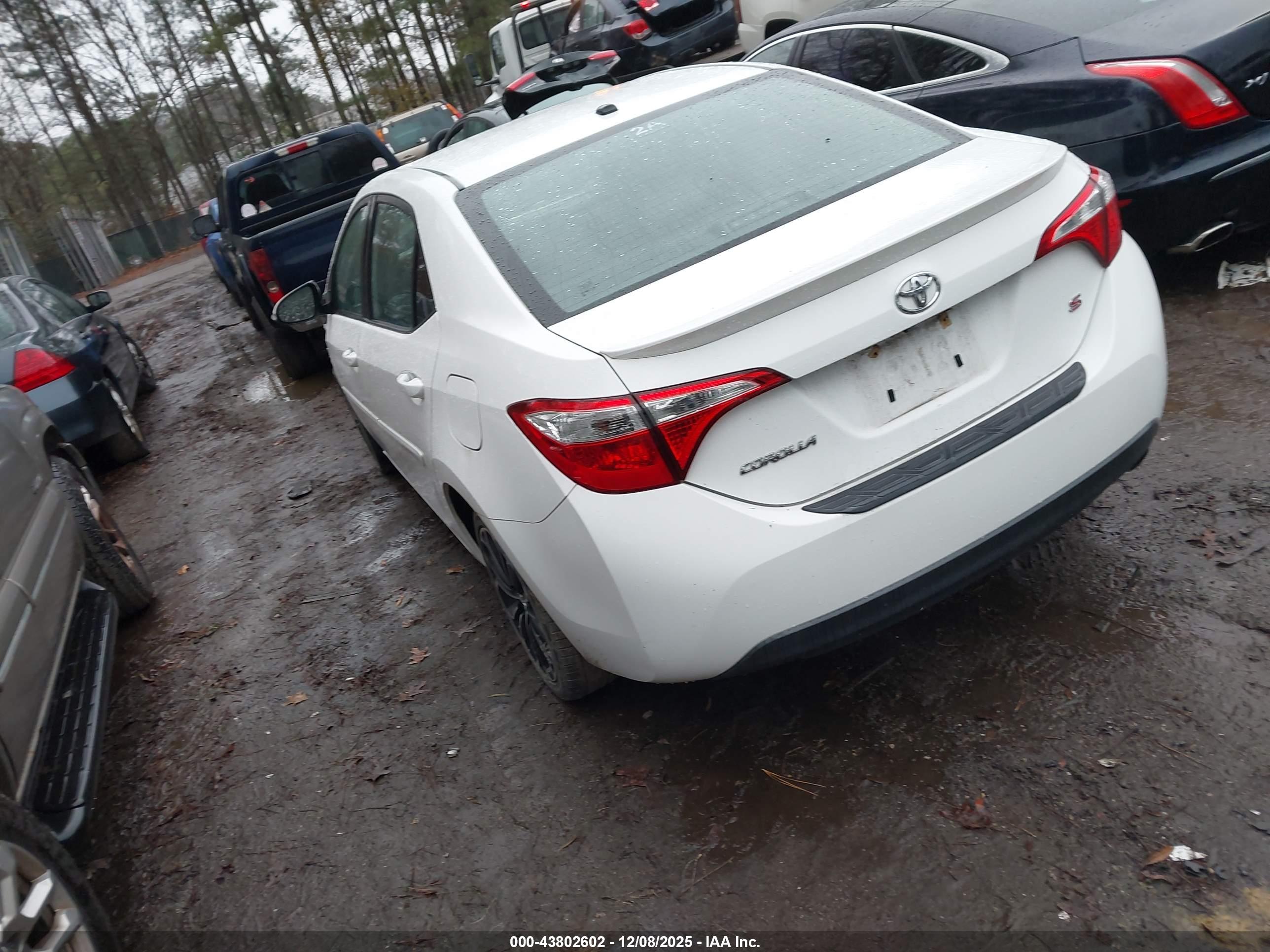 TOYOTA COROLLA image 3
