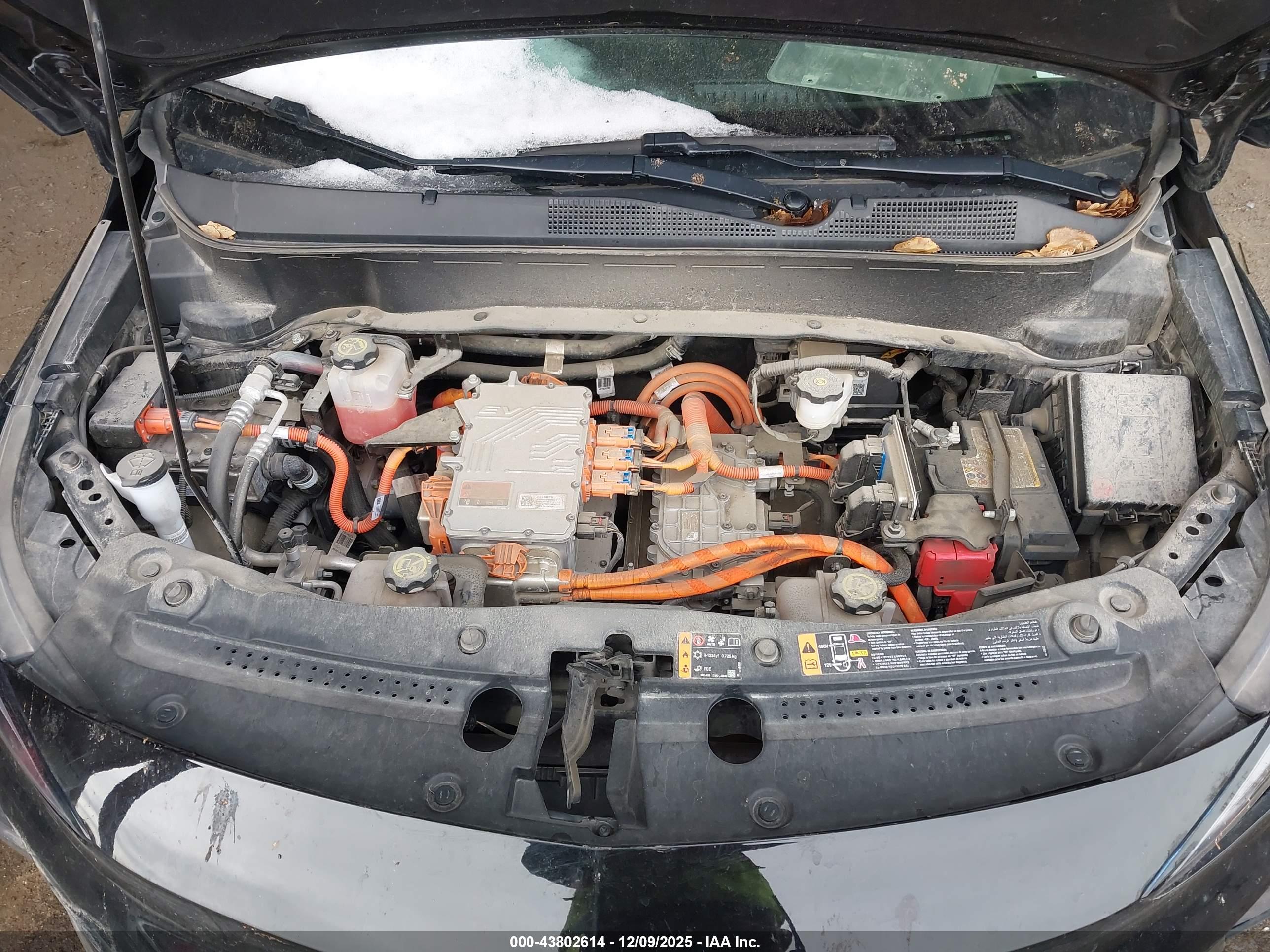 CHEVROLET BOLT image 10