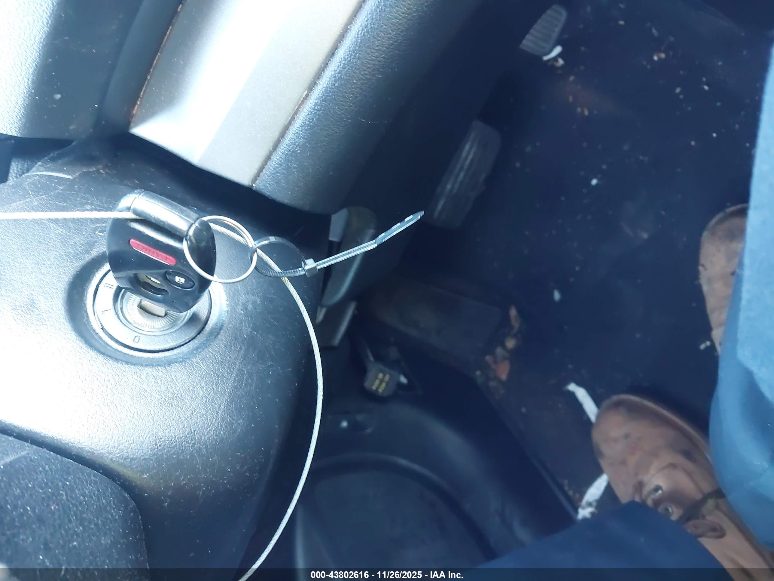 HONDA CR-V image 11
