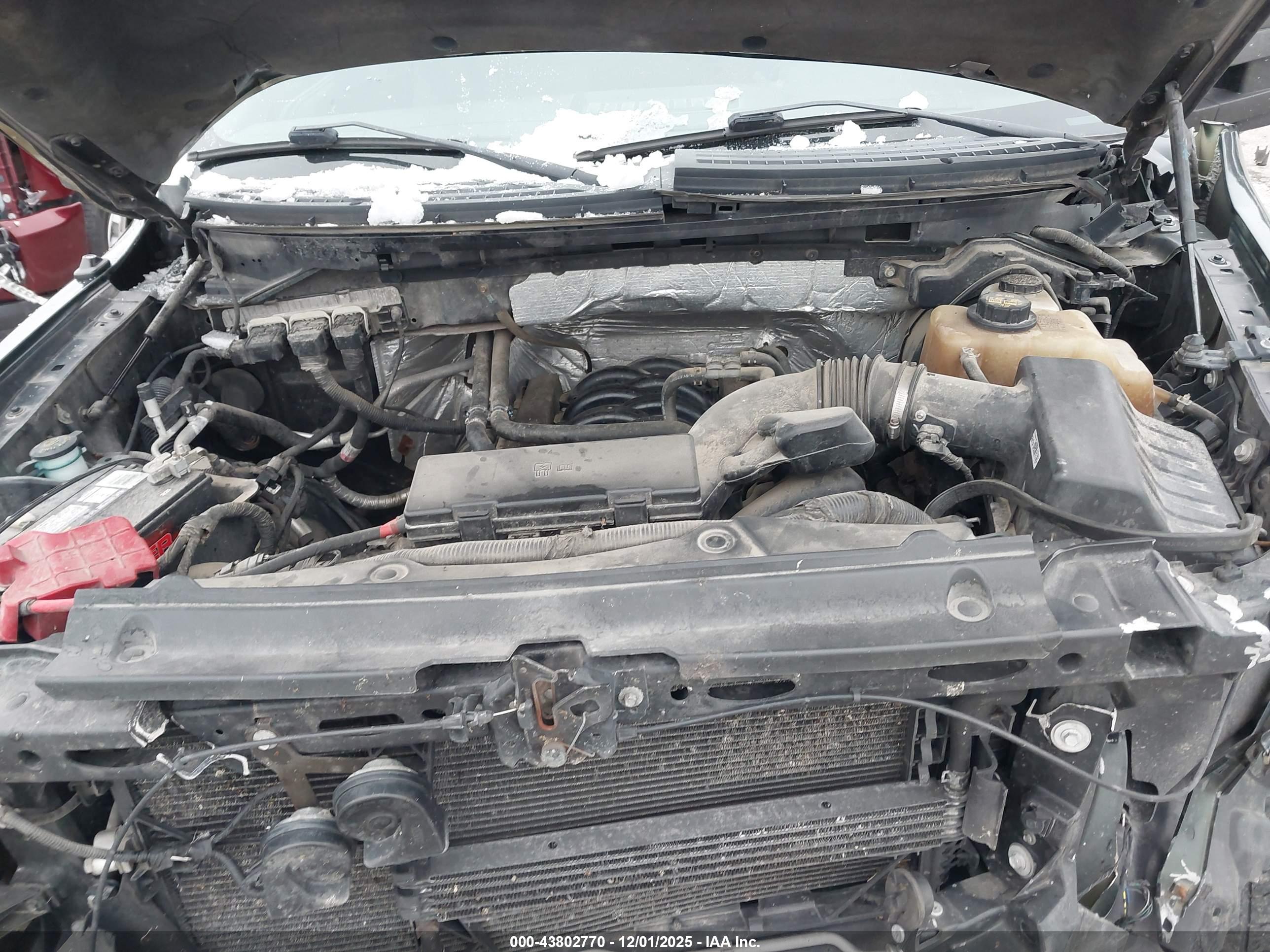 FORD F-150 image 10