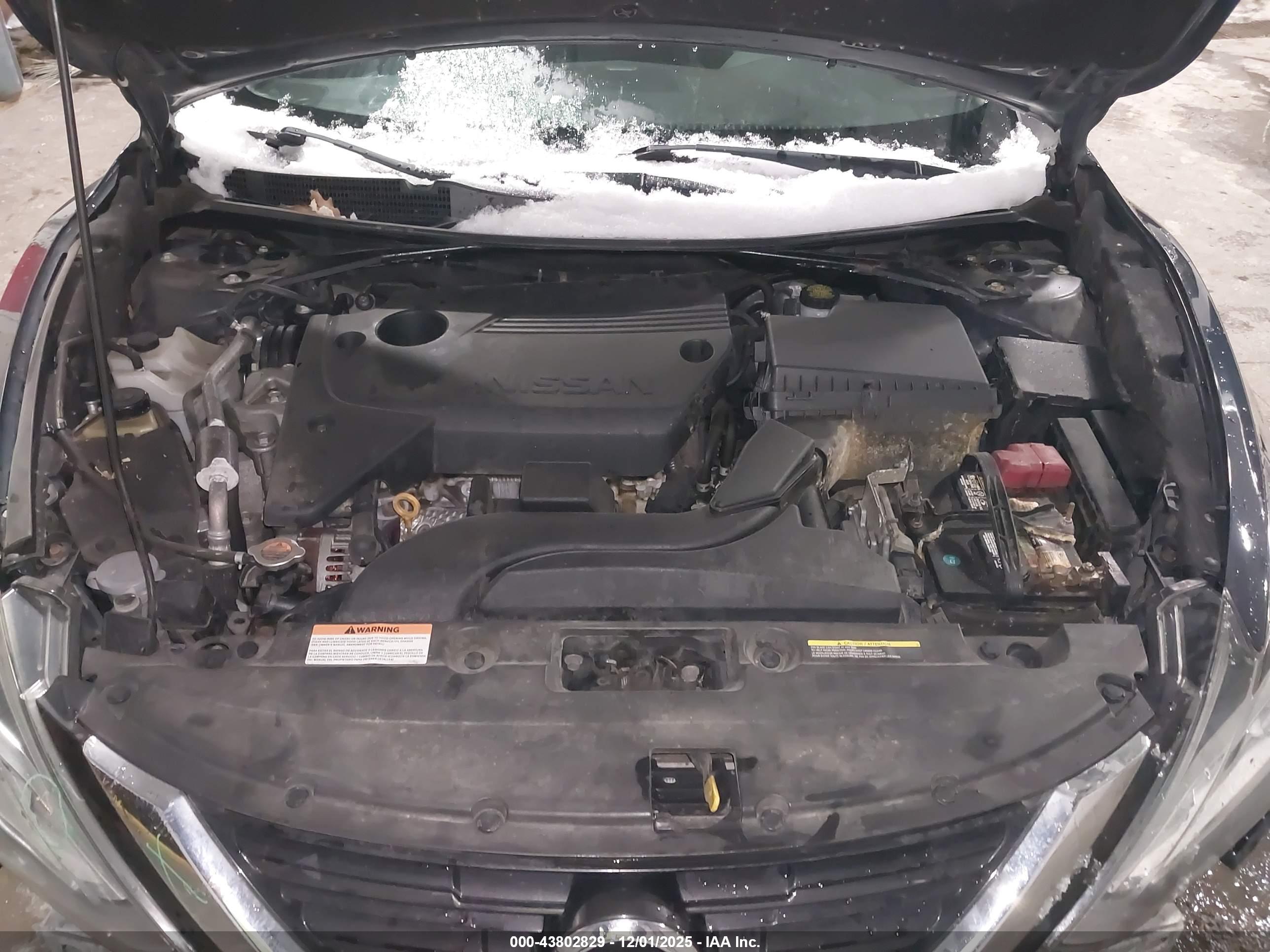 NISSAN ALTIMA image 10