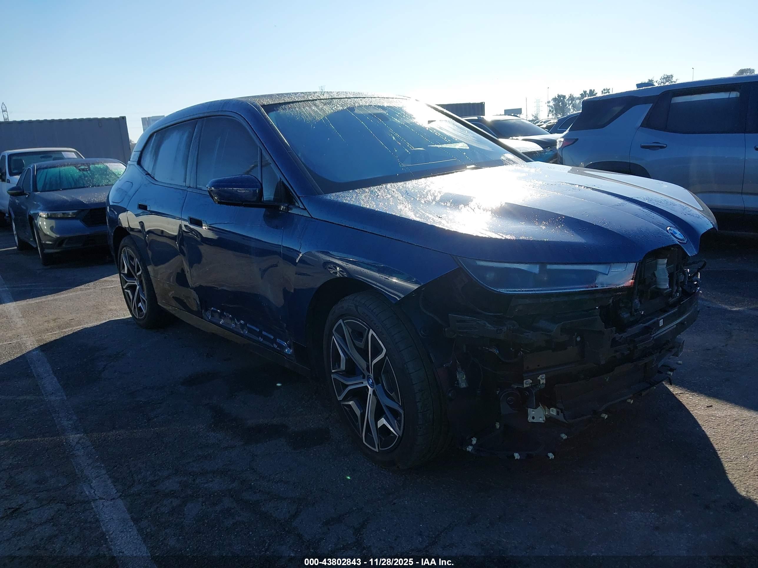 BMW IX image 6