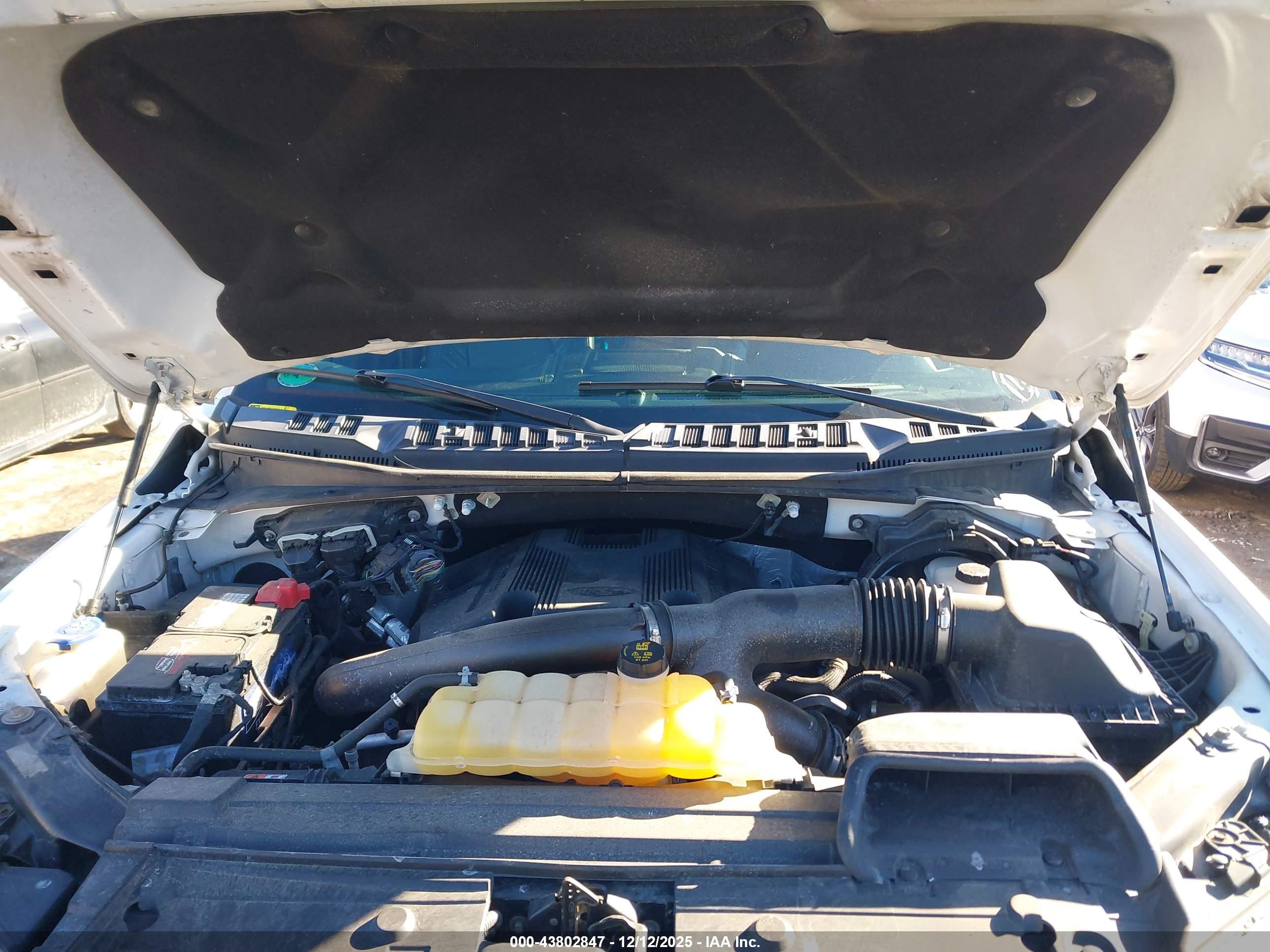 FORD F-150 image 10