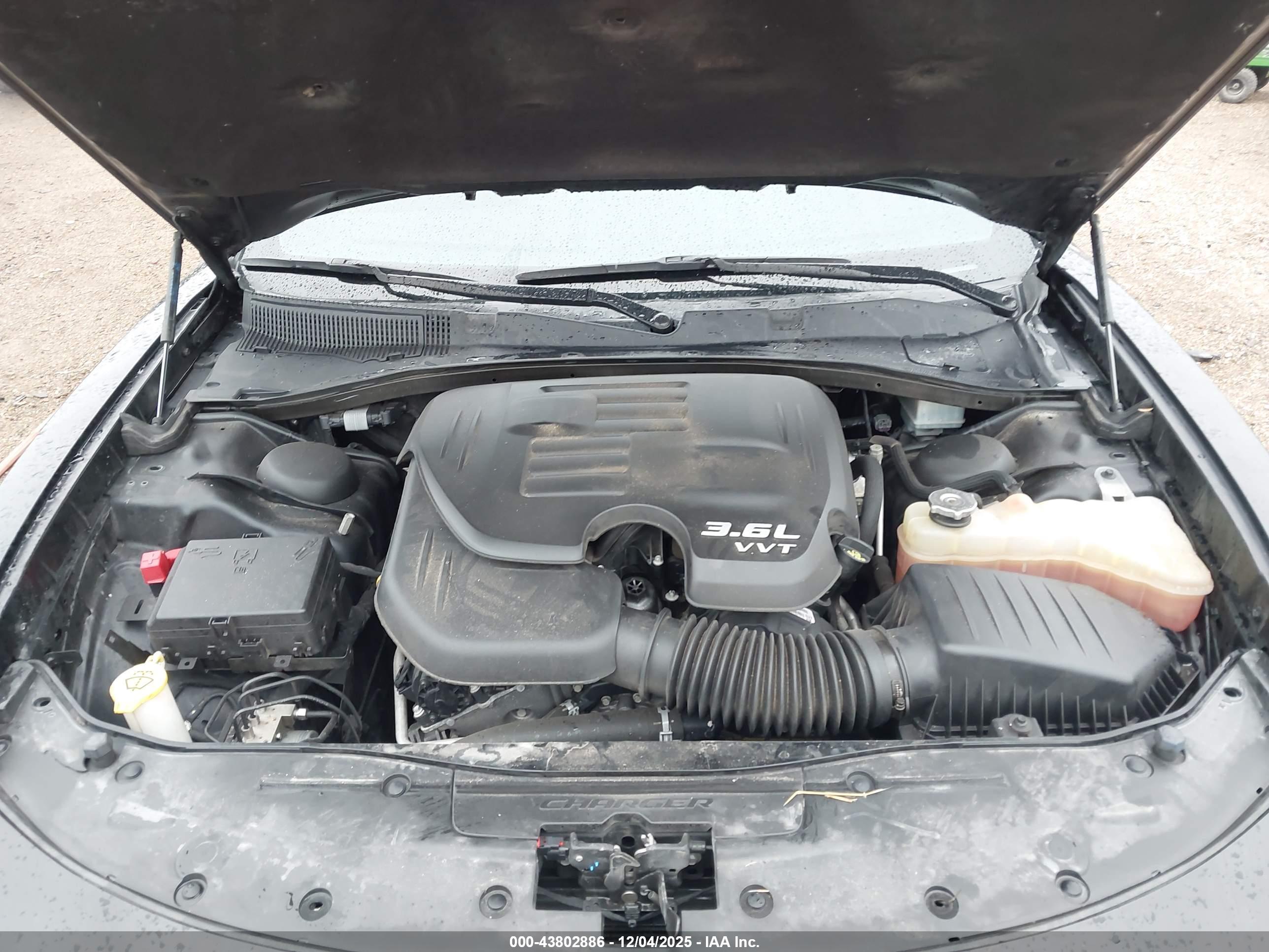 DODGE CHARGER image 10