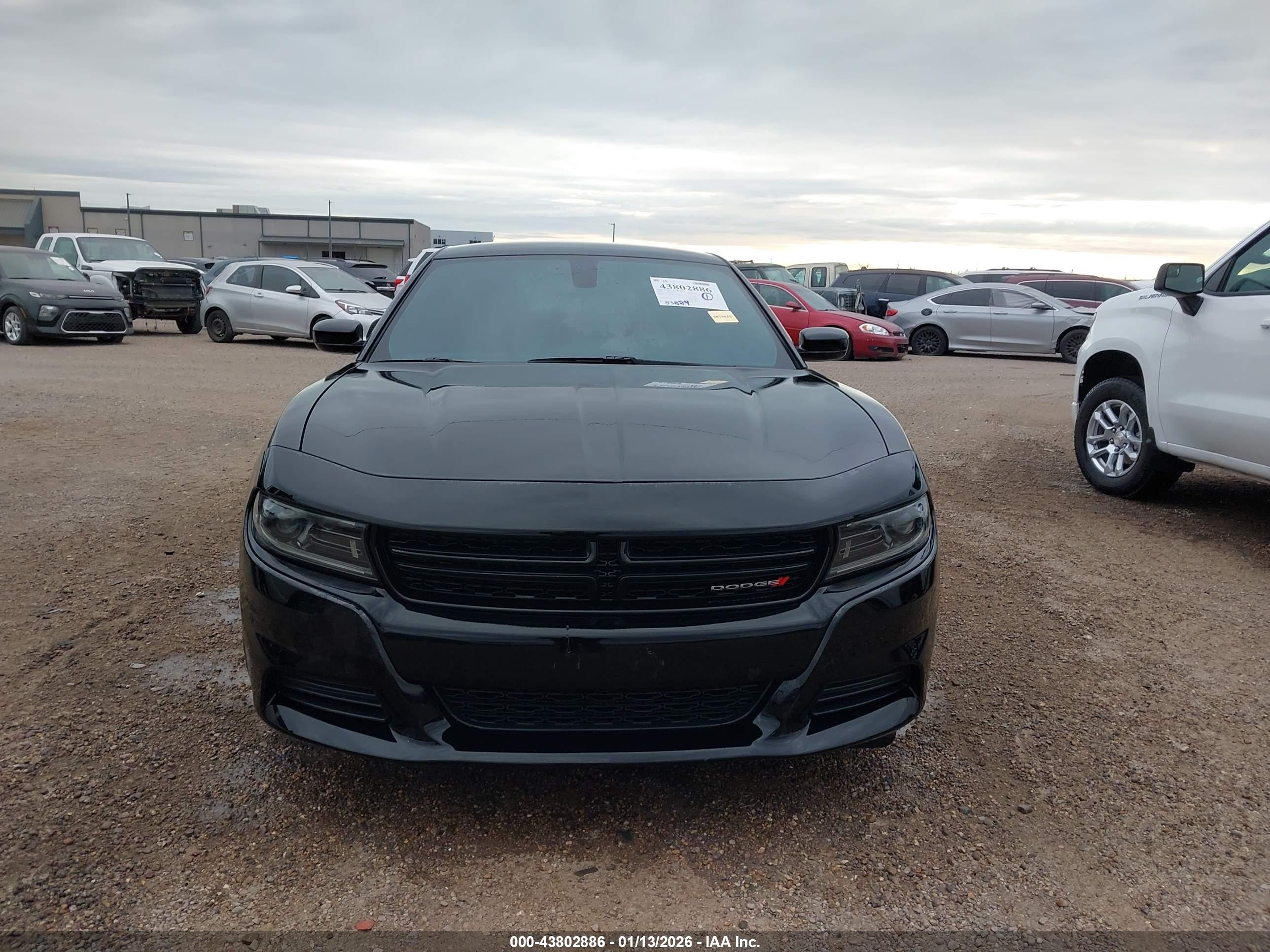 DODGE CHARGER image 6