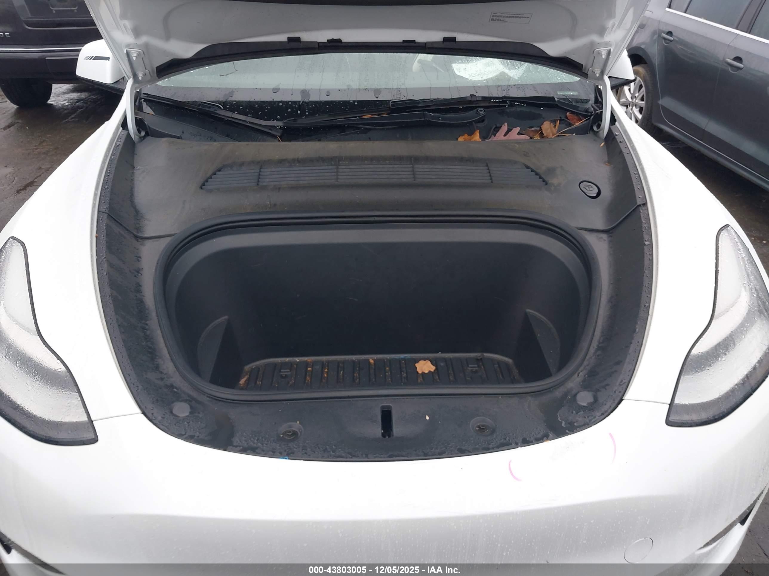 TESLA MODEL image 10