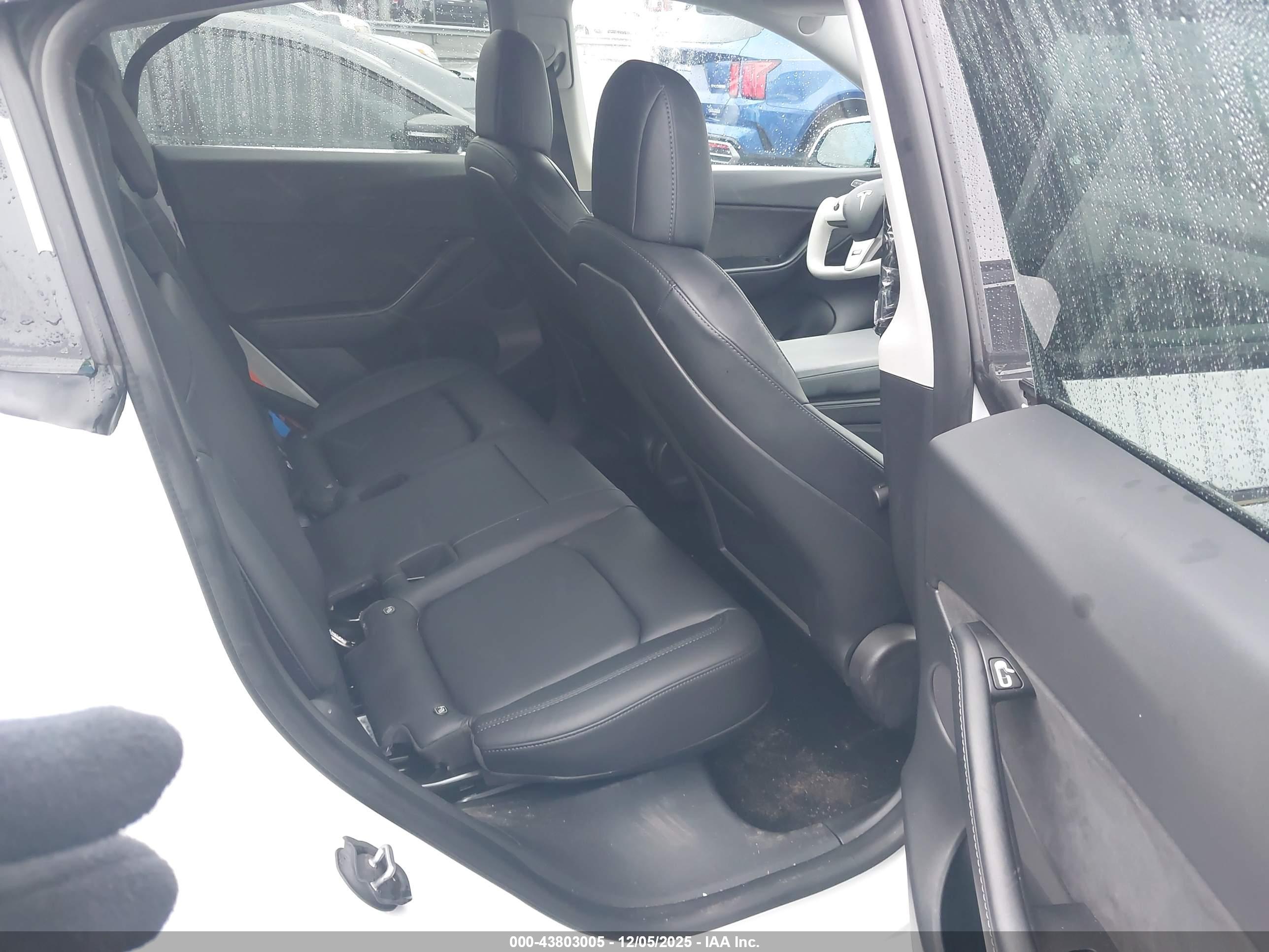 TESLA MODEL image 8