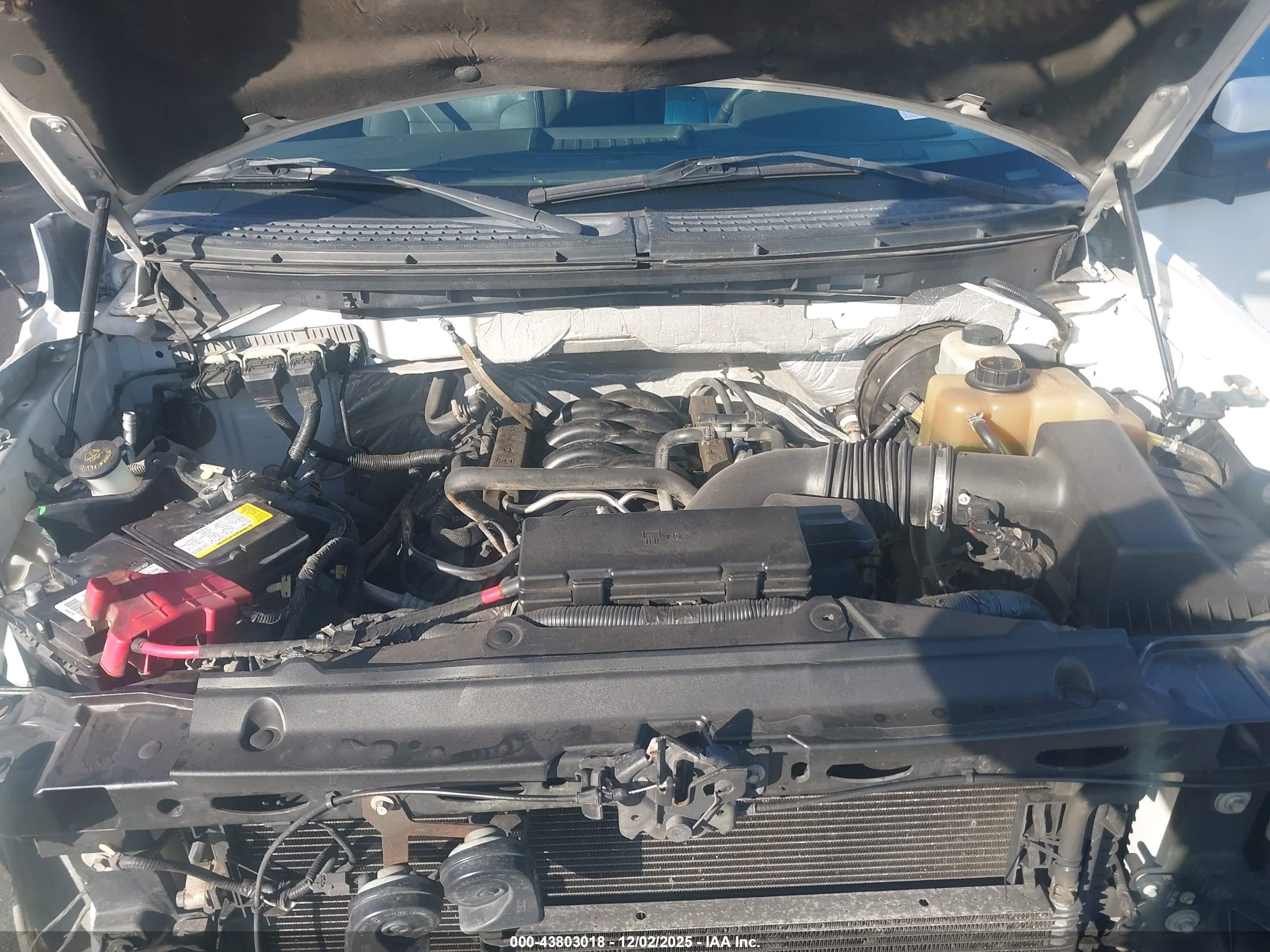 FORD F-150 image 10