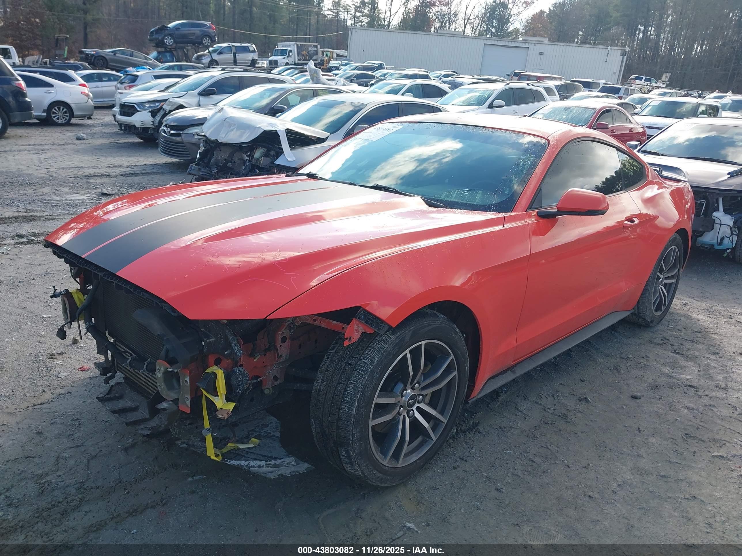 FORD MUSTANG image 2