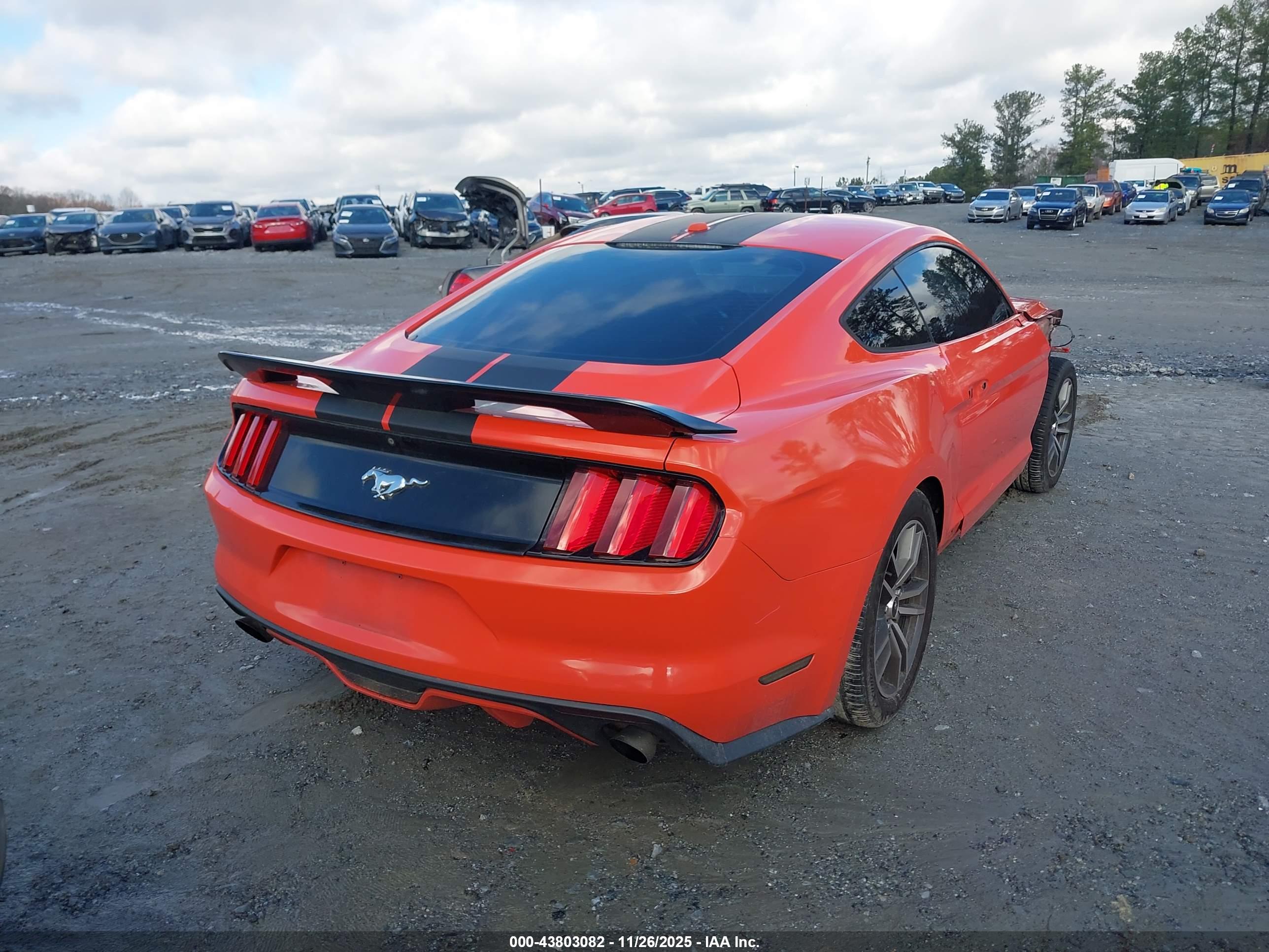FORD MUSTANG image 4